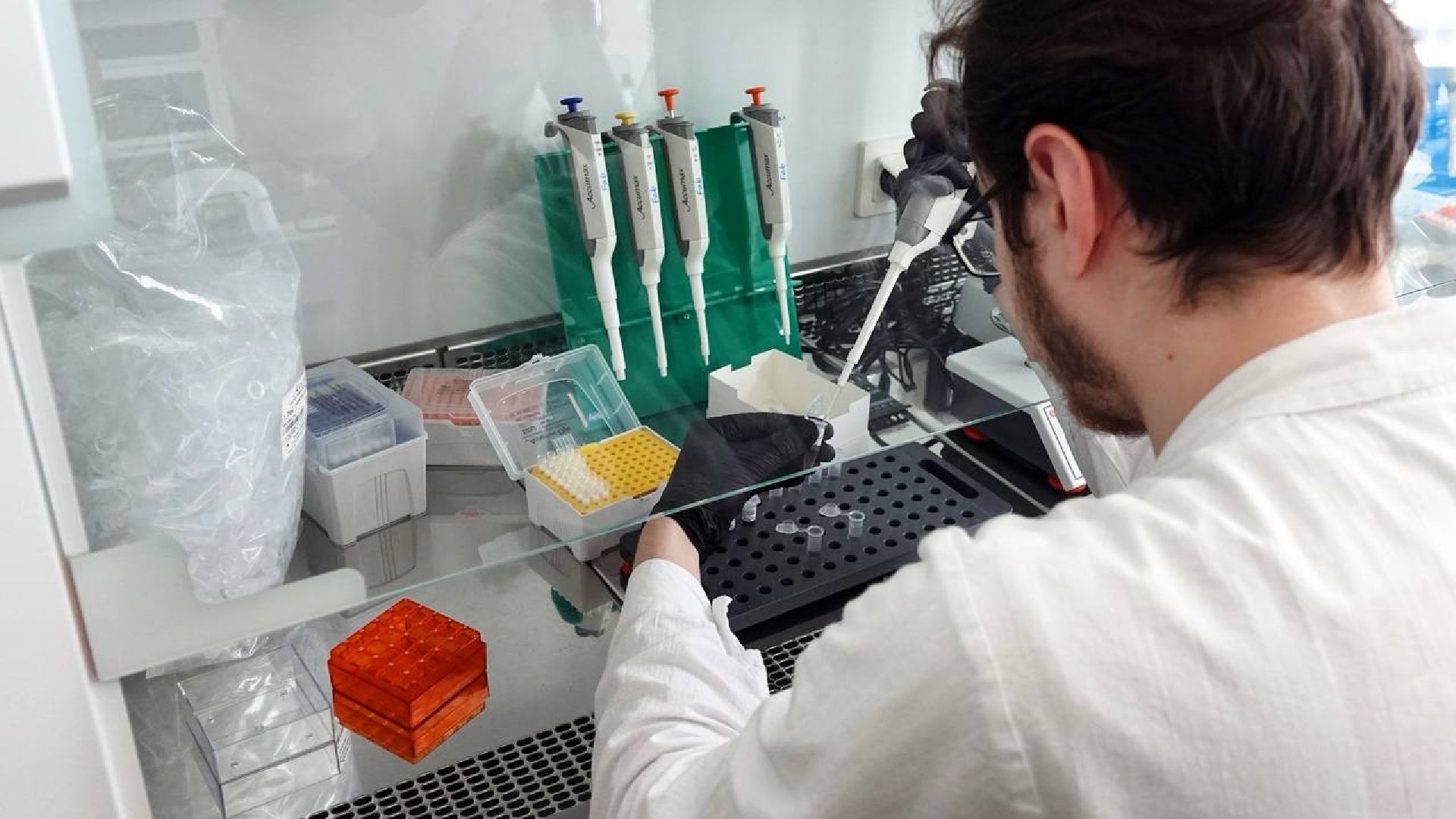 Сергей Двойных, ВНИИТИП, Птицеводство, Наука, Генетика, Селекция, Сергиев Посад, Сельское хозяйство,