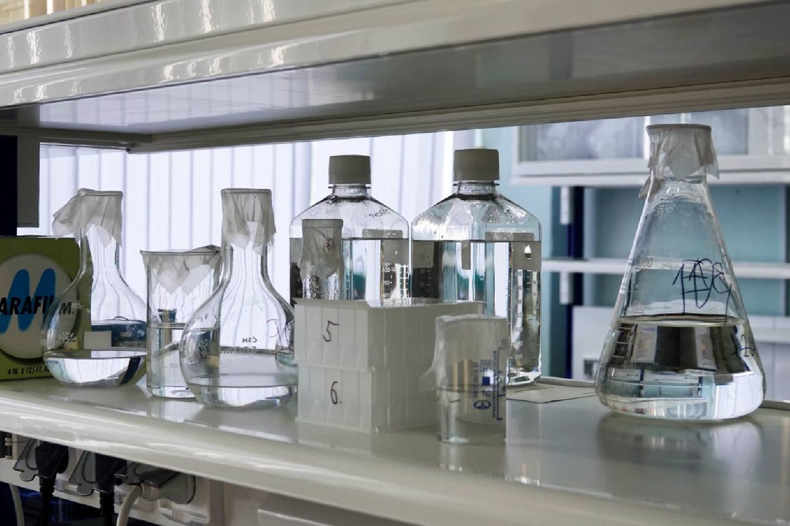 Сергей Двойных, ВНИИТИП, Птицеводство, Наука, Генетика, Селекция, Сергиев Посад, Сельское хозяйство,