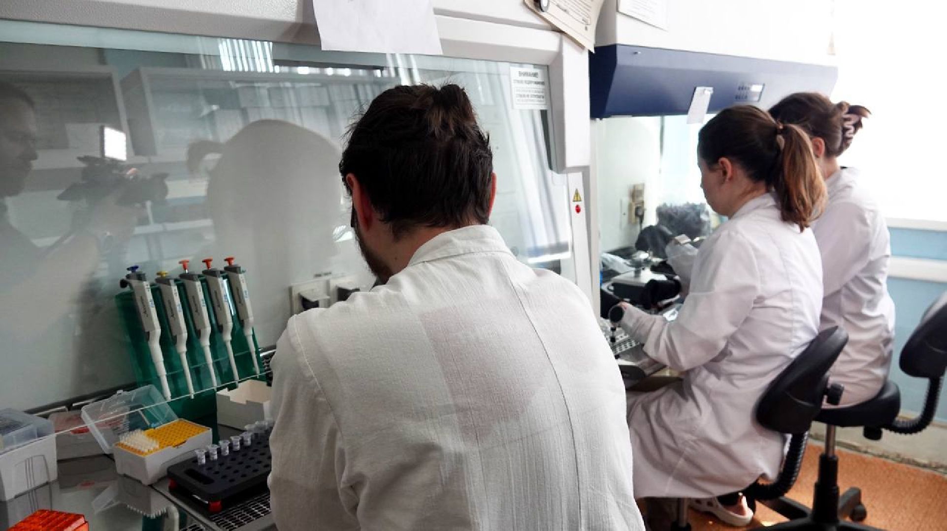 Сергей Двойных, ВНИИТИП, Птицеводство, Наука, Генетика, Селекция, Сергиев Посад, Сельское хозяйство,