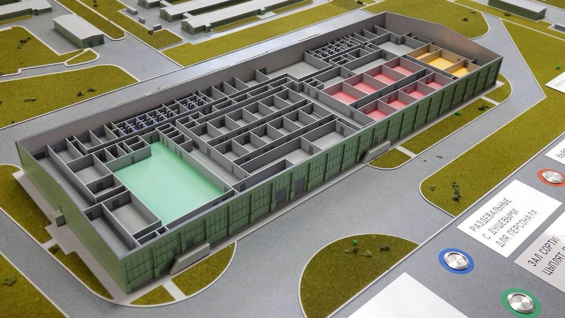 Сергей Двойных, ВНИИТИП, Птицеводство, Наука, Генетика, Селекция, Сергиев Посад, Сельское хозяйство,