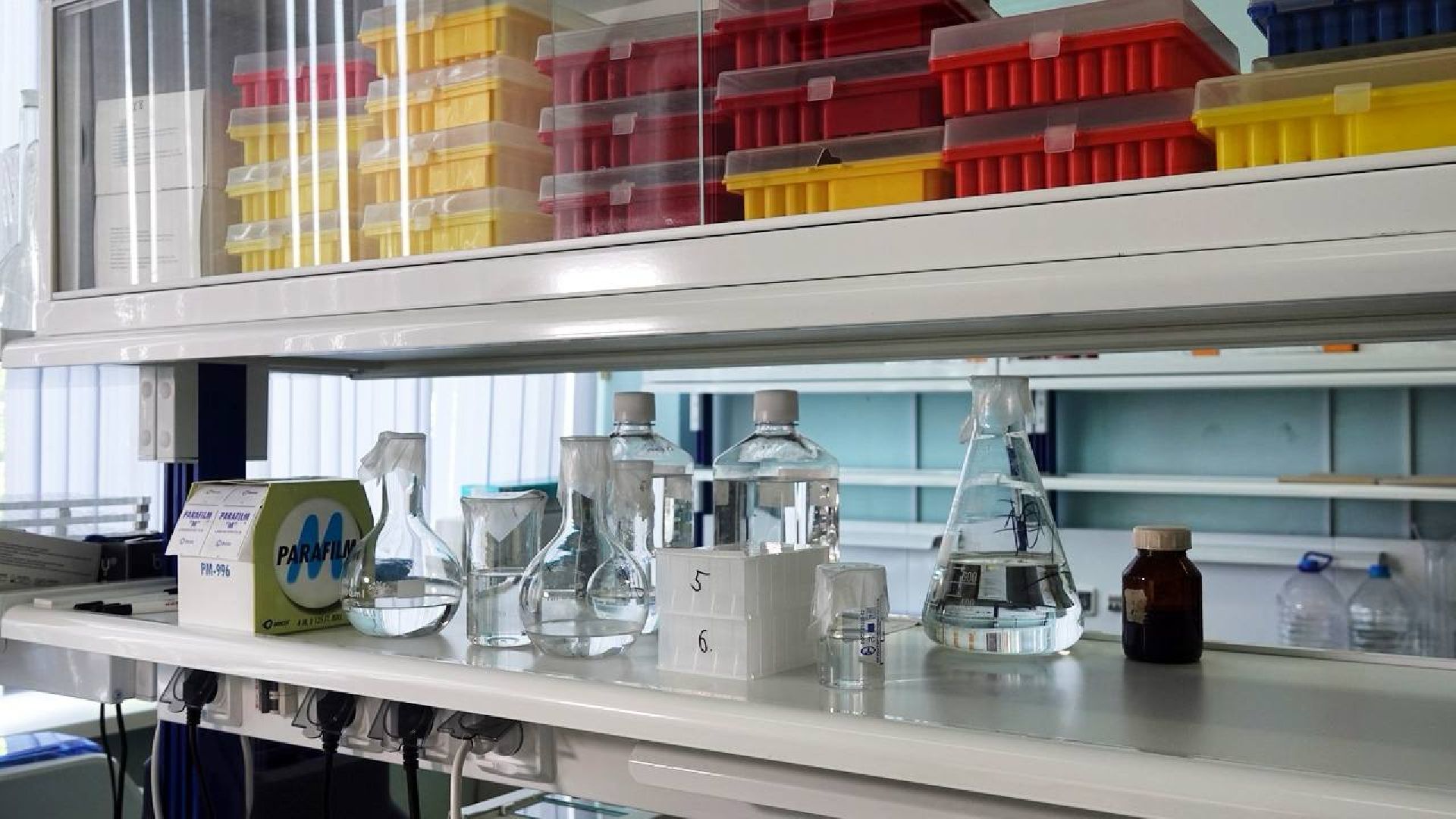 Сергей Двойных, ВНИИТИП, Птицеводство, Наука, Генетика, Селекция, Сергиев Посад, Сельское хозяйство,