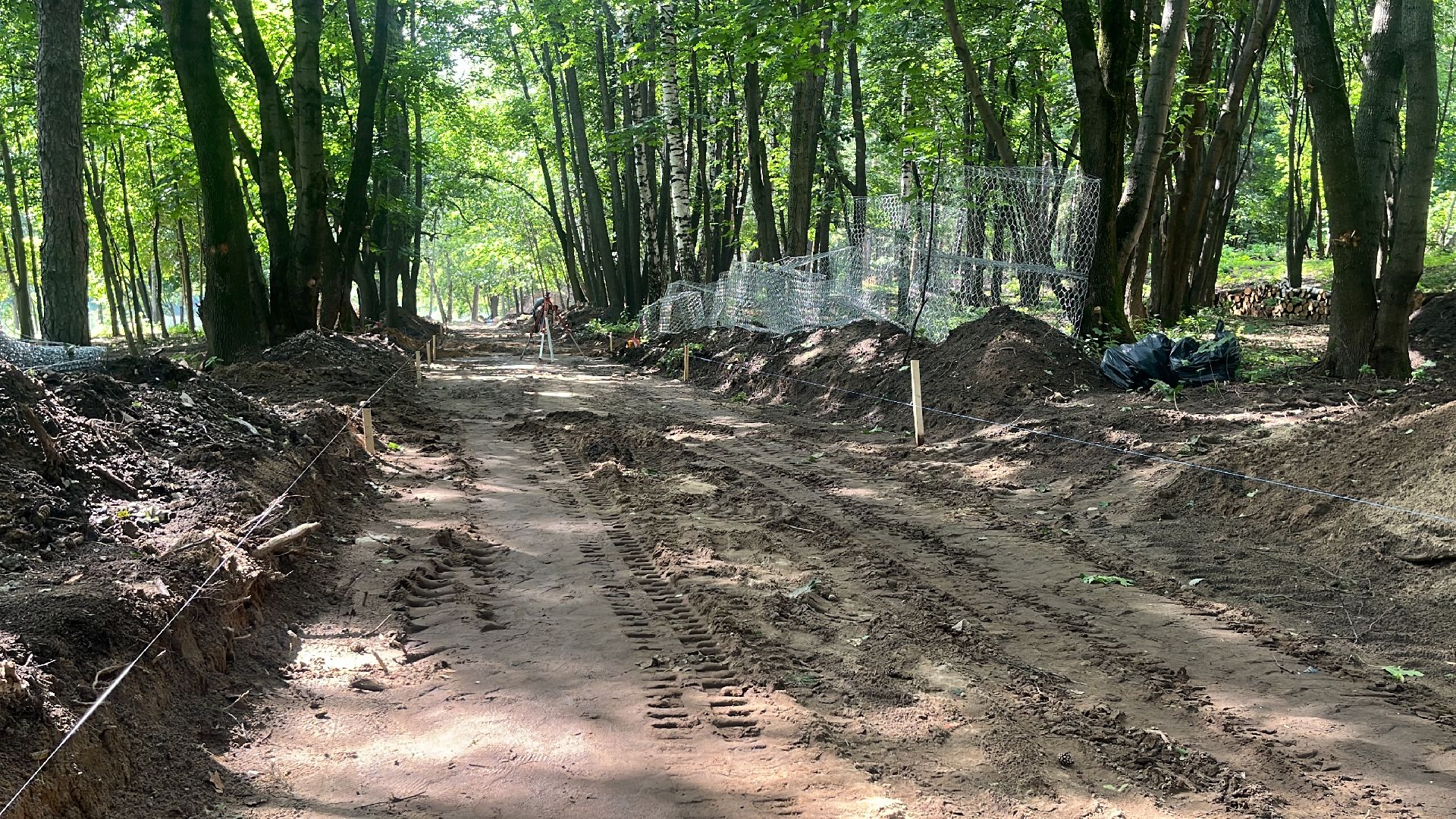 лес, лесопарк, кучинский лесопарк, пруд, благоустровйство,