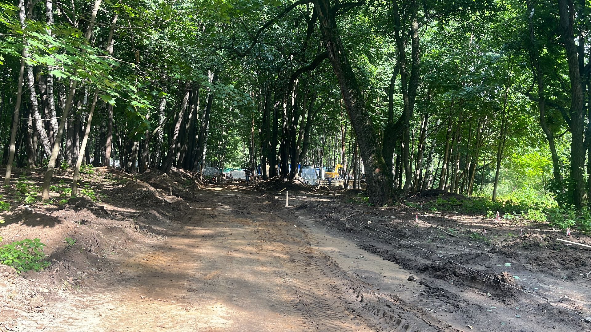 лес, лесопарк, кучинский лесопарк, пруд, благоустровйство,