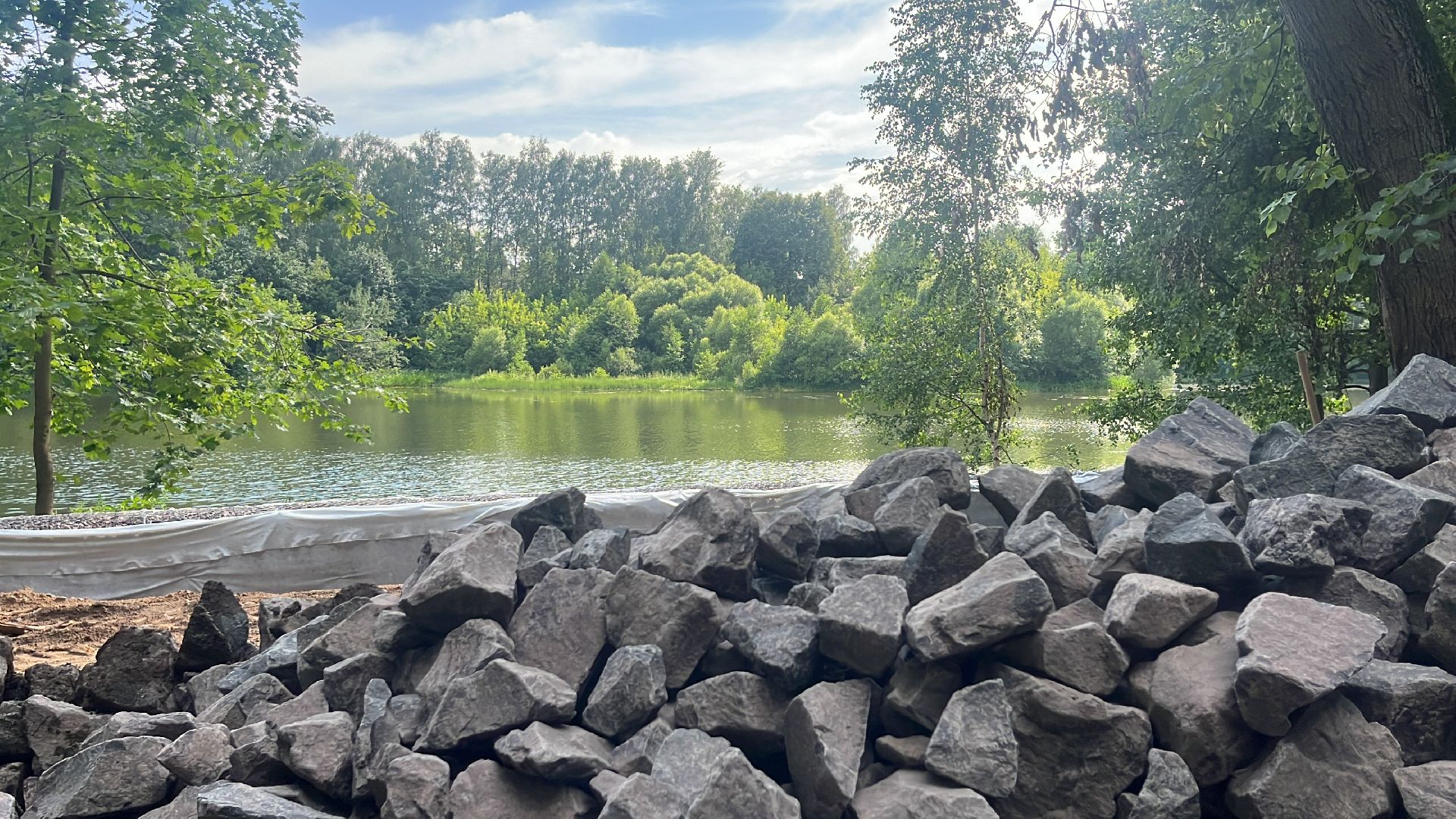 лес, лесопарк, кучинский лесопарк, пруд, благоустровйство,