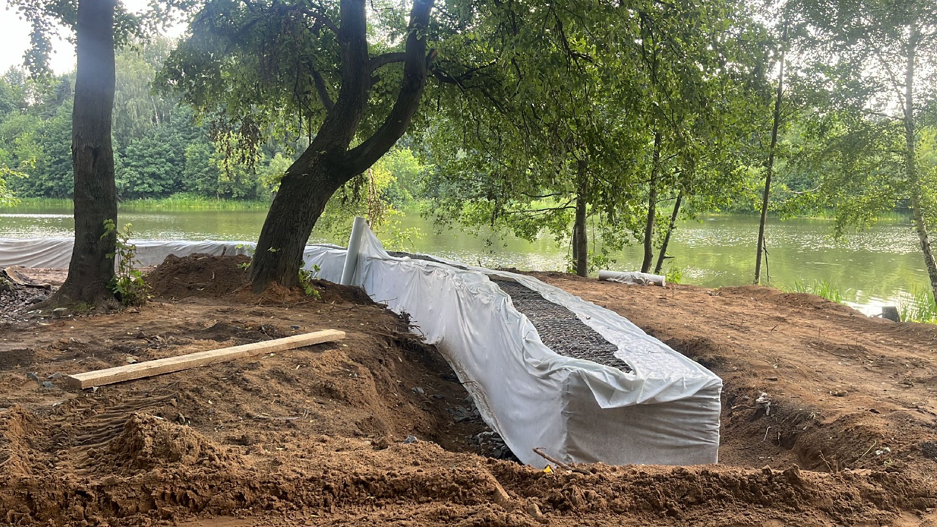 лес, лесопарк, кучинский лесопарк, пруд, благоустровйство,