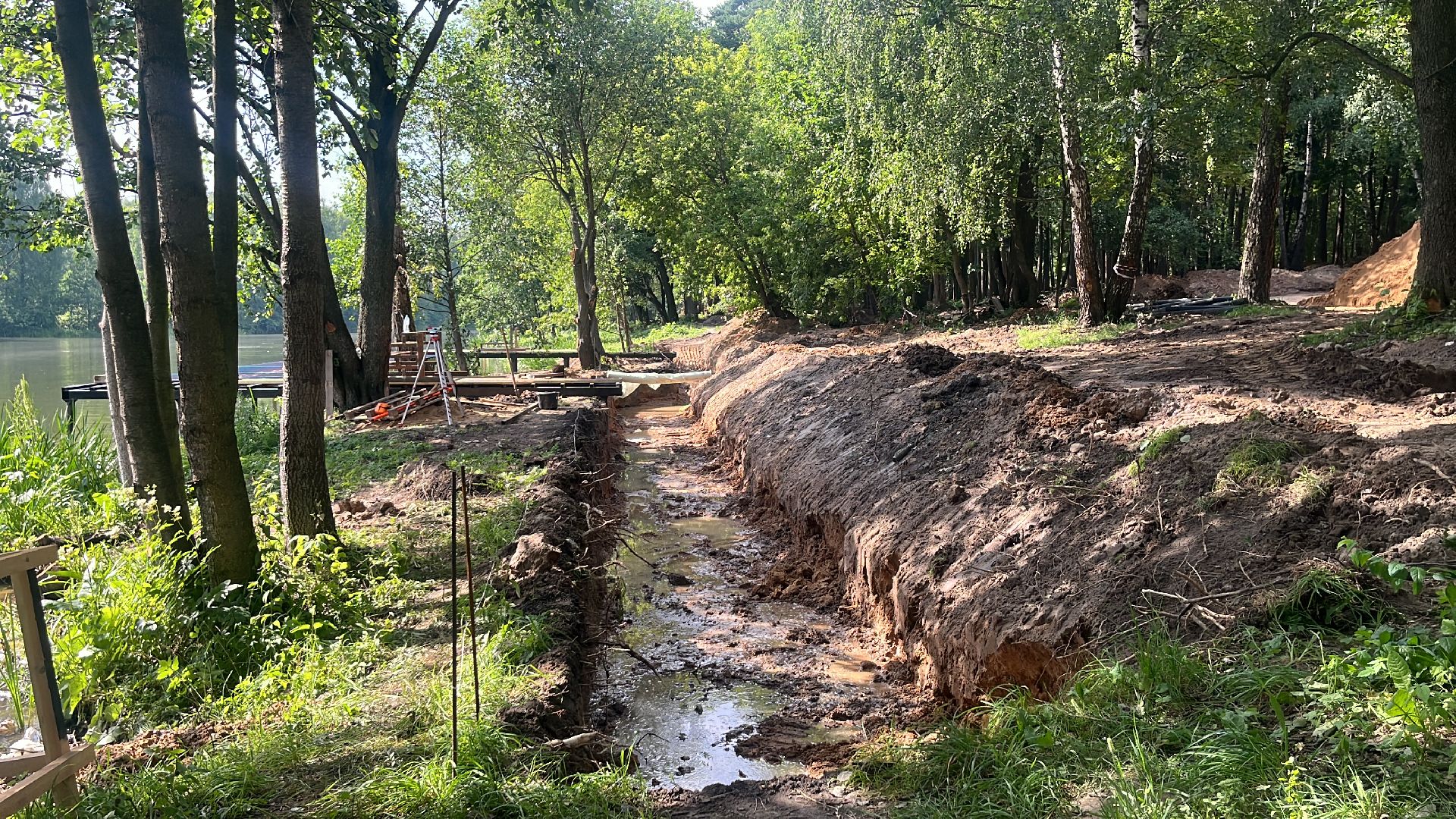 лес, лесопарк, кучинский лесопарк, пруд, благоустровйство,