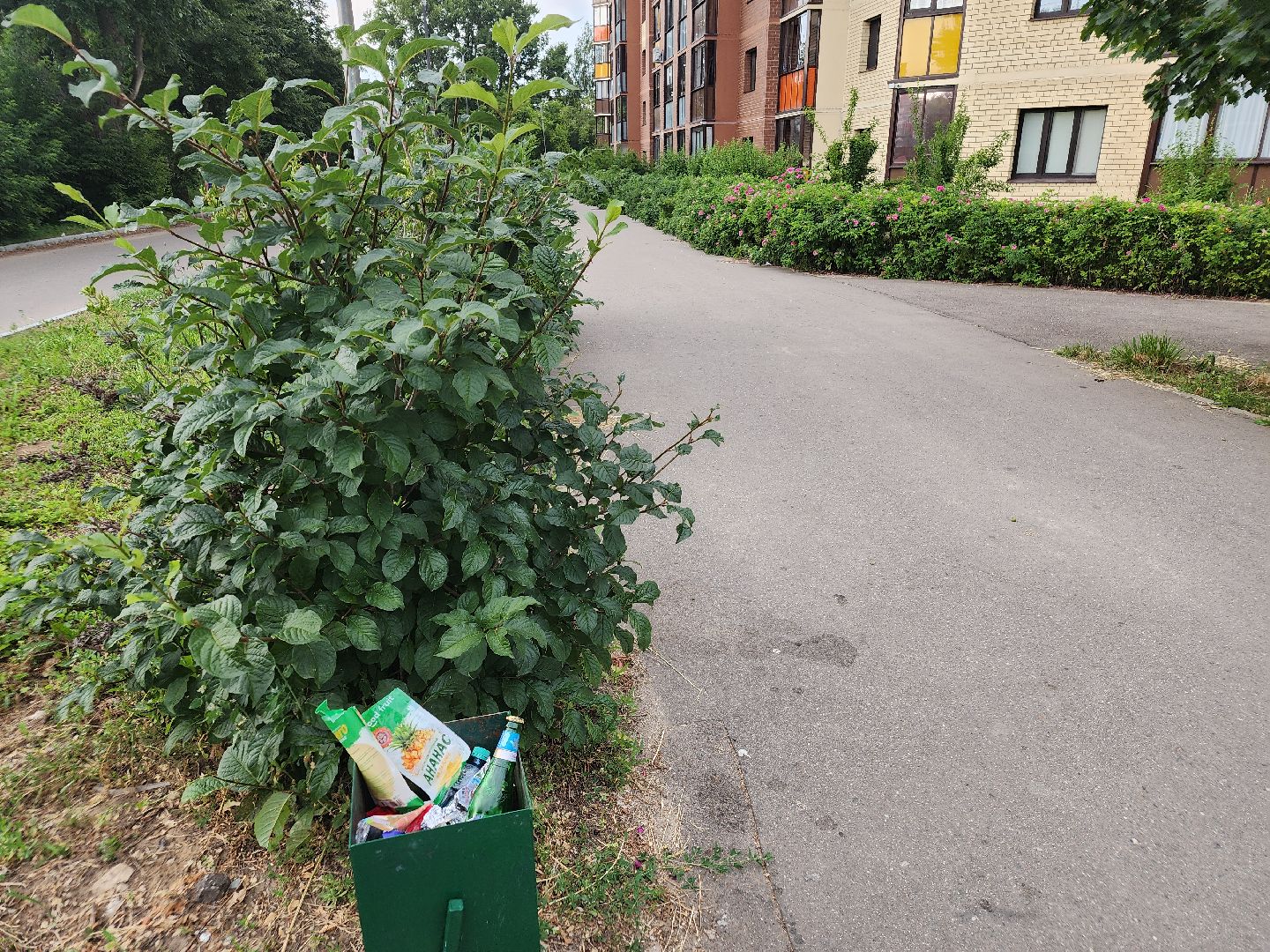 выездная администрация, орехово зуево,