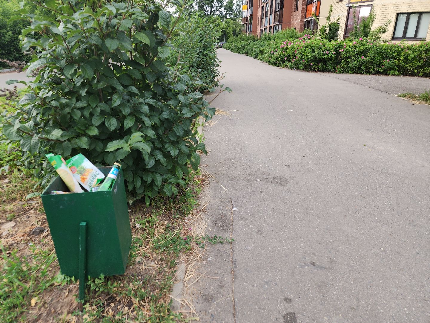 выездная администрация, орехово зуево,