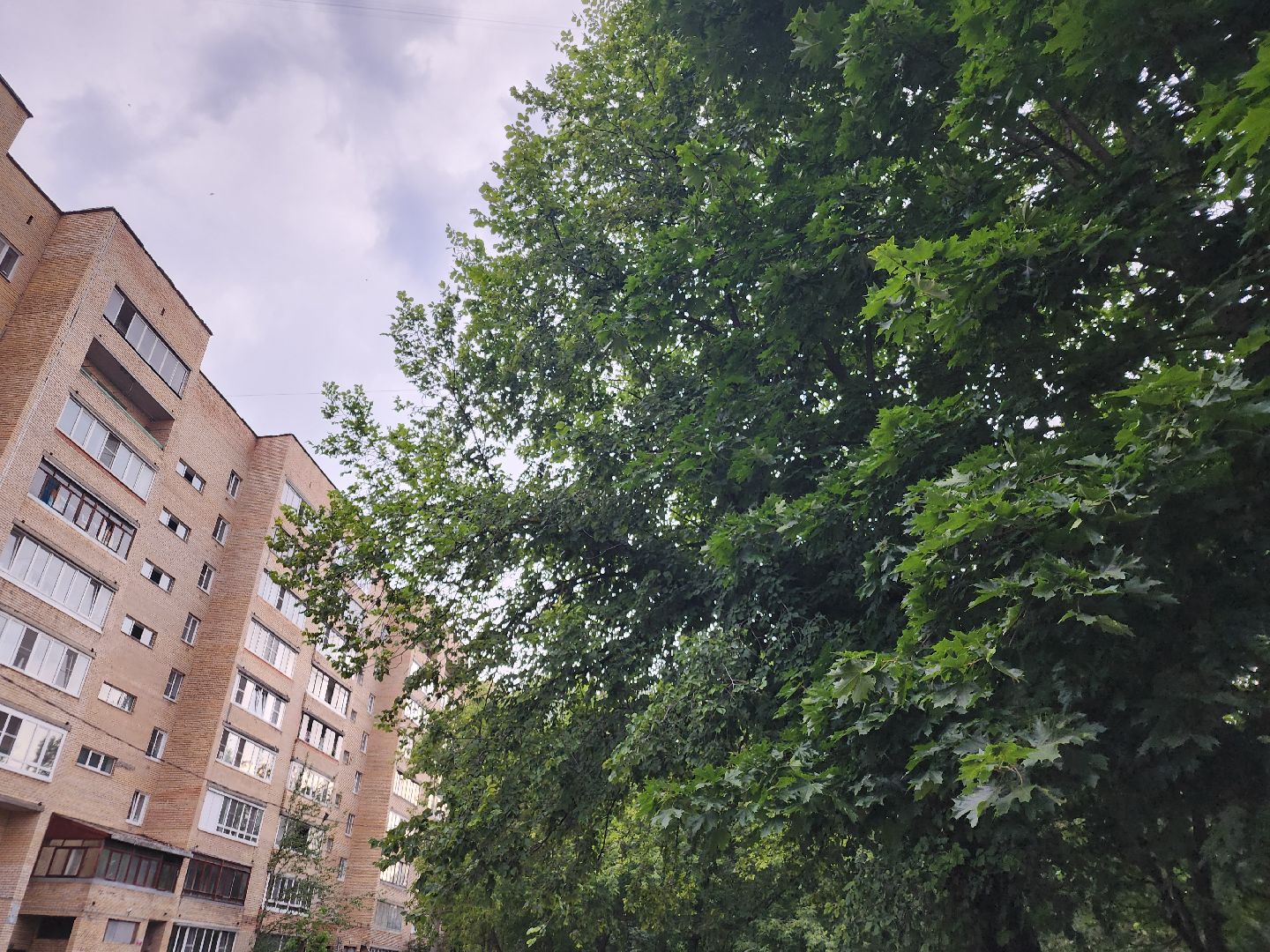 выездная администрация, орехово зуево,