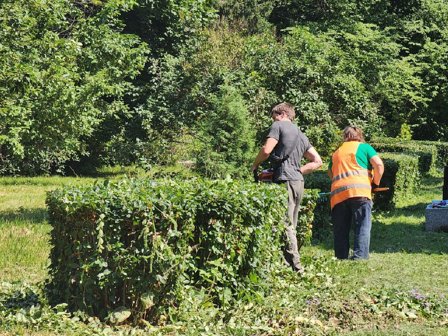 пущино, серпухов, благоустройство,