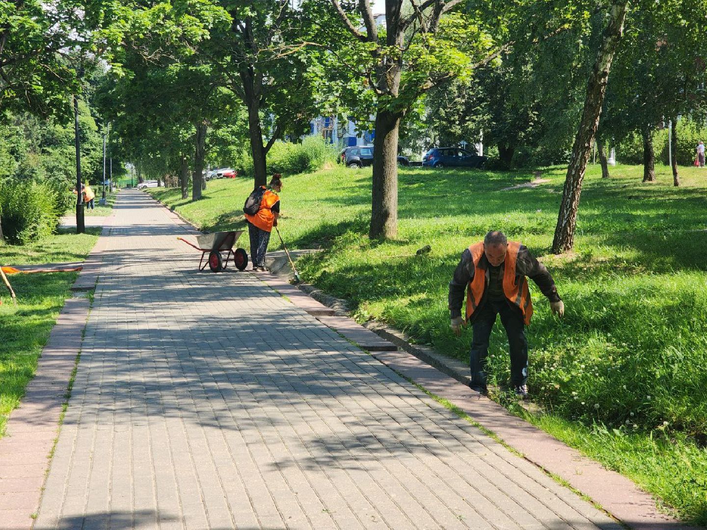 пущино, серпухов, благоустройство,