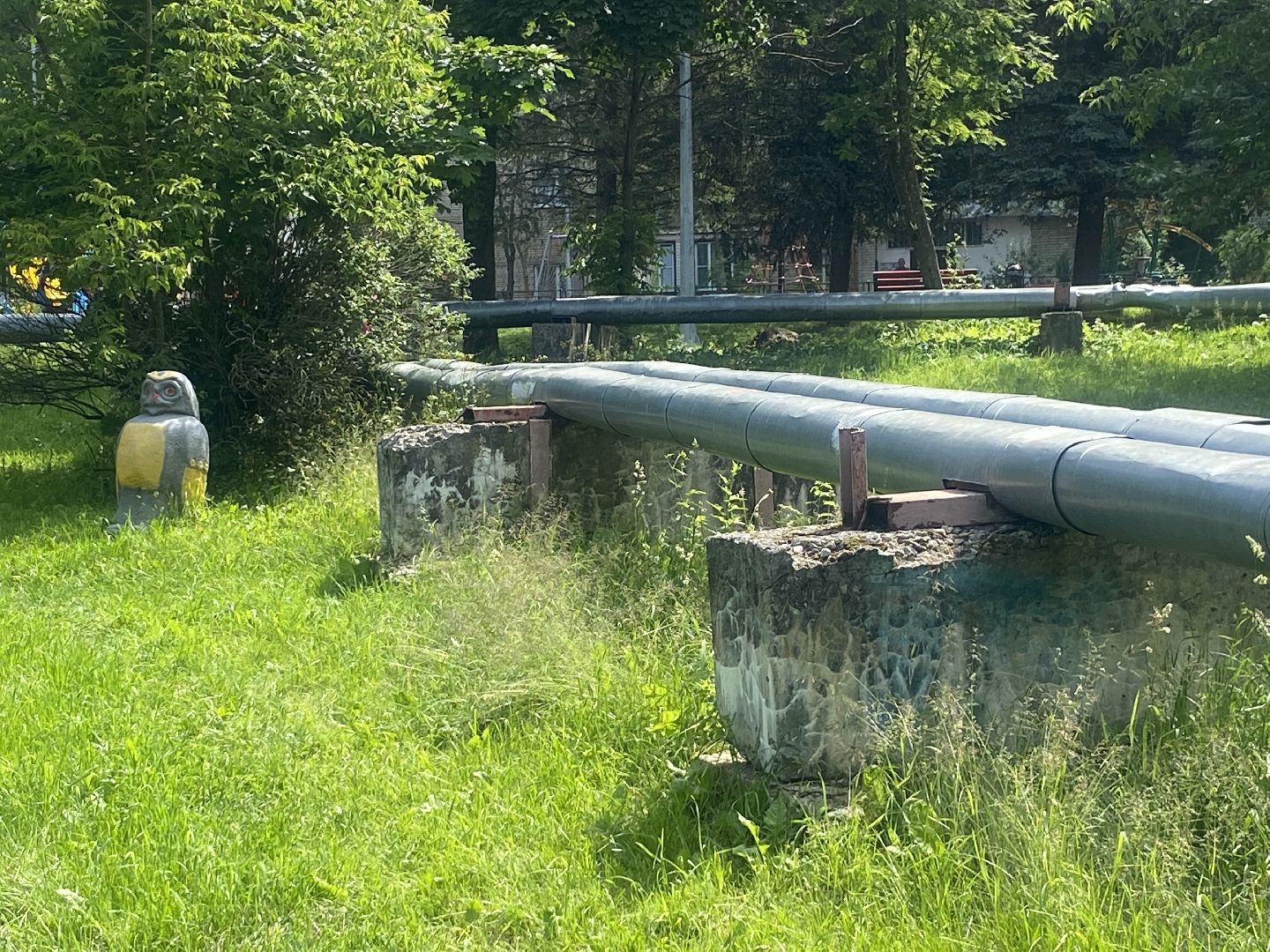 благоустройство территории, Власиха Цветной бульвар, обращения жителей власихи, Обходы территорий, Контроль выполнения работ,