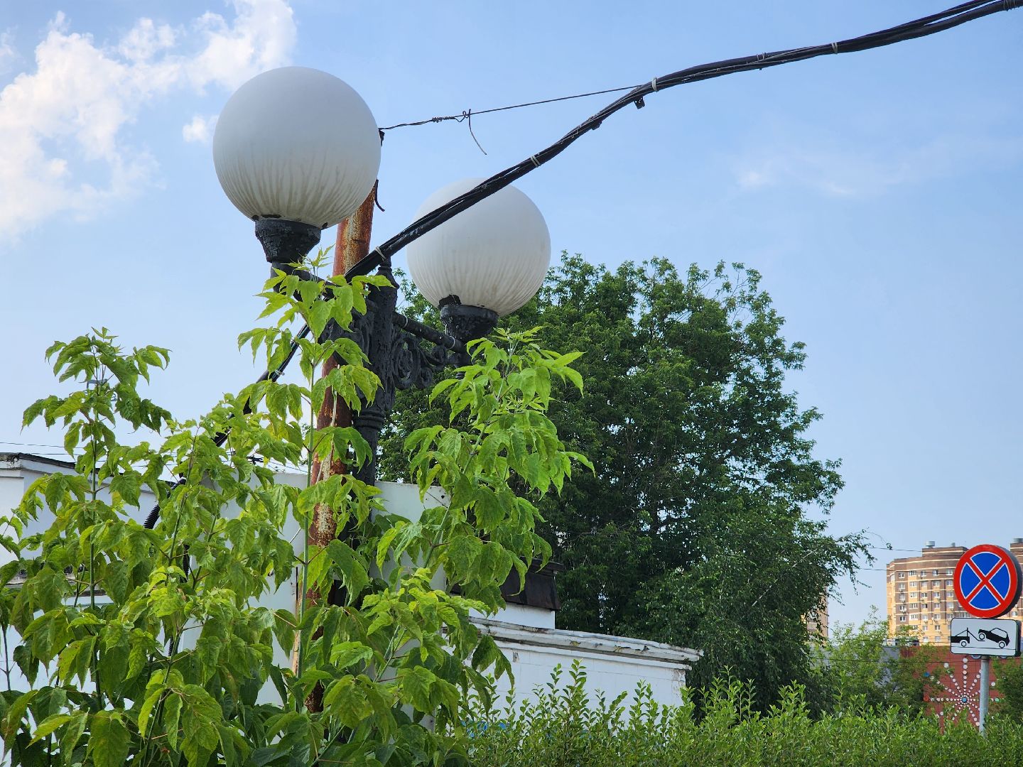 долгопрудный, светильник, электрики, мбу благоустройство, дк вперед,