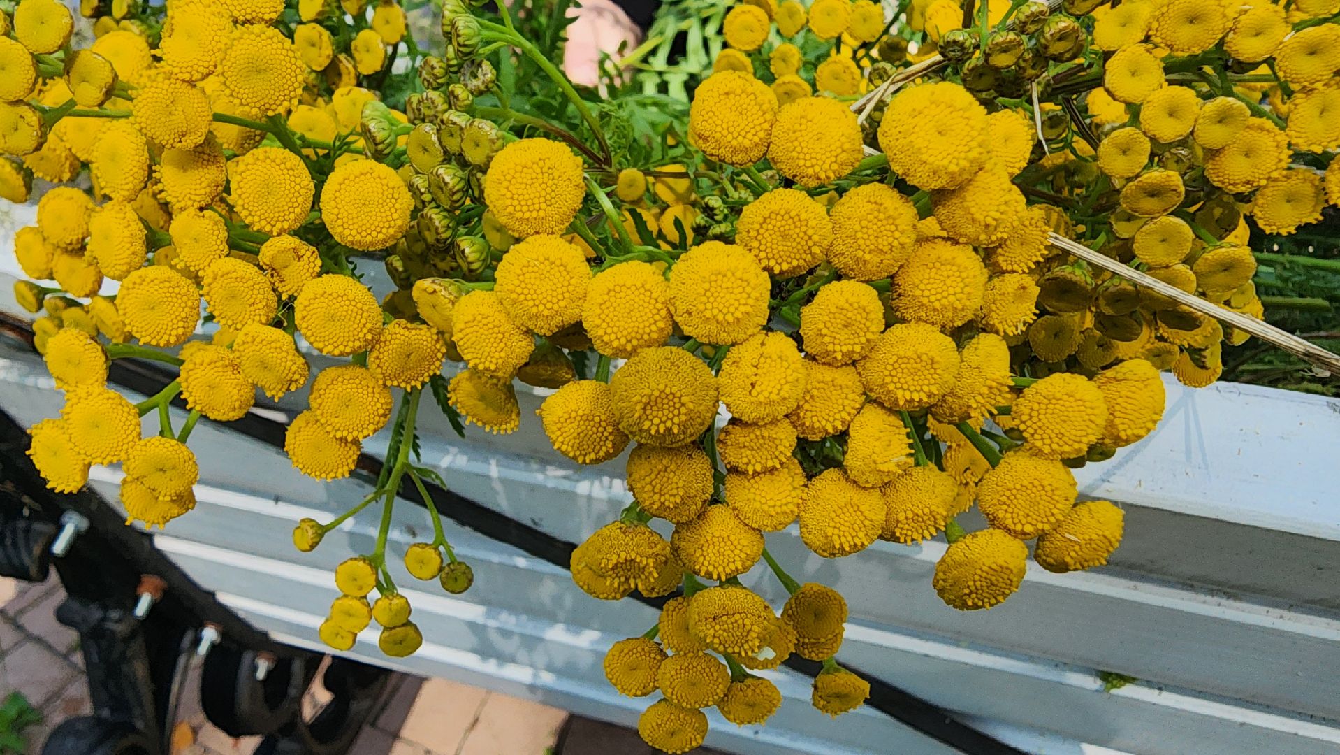 Букет лета, мастер класс, Рошаль, парк крестов брод, ДК Косякова, Большая Шатура,