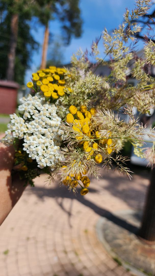 Букет лета, мастер класс, Рошаль, парк крестов брод, ДК Косякова, Большая Шатура,