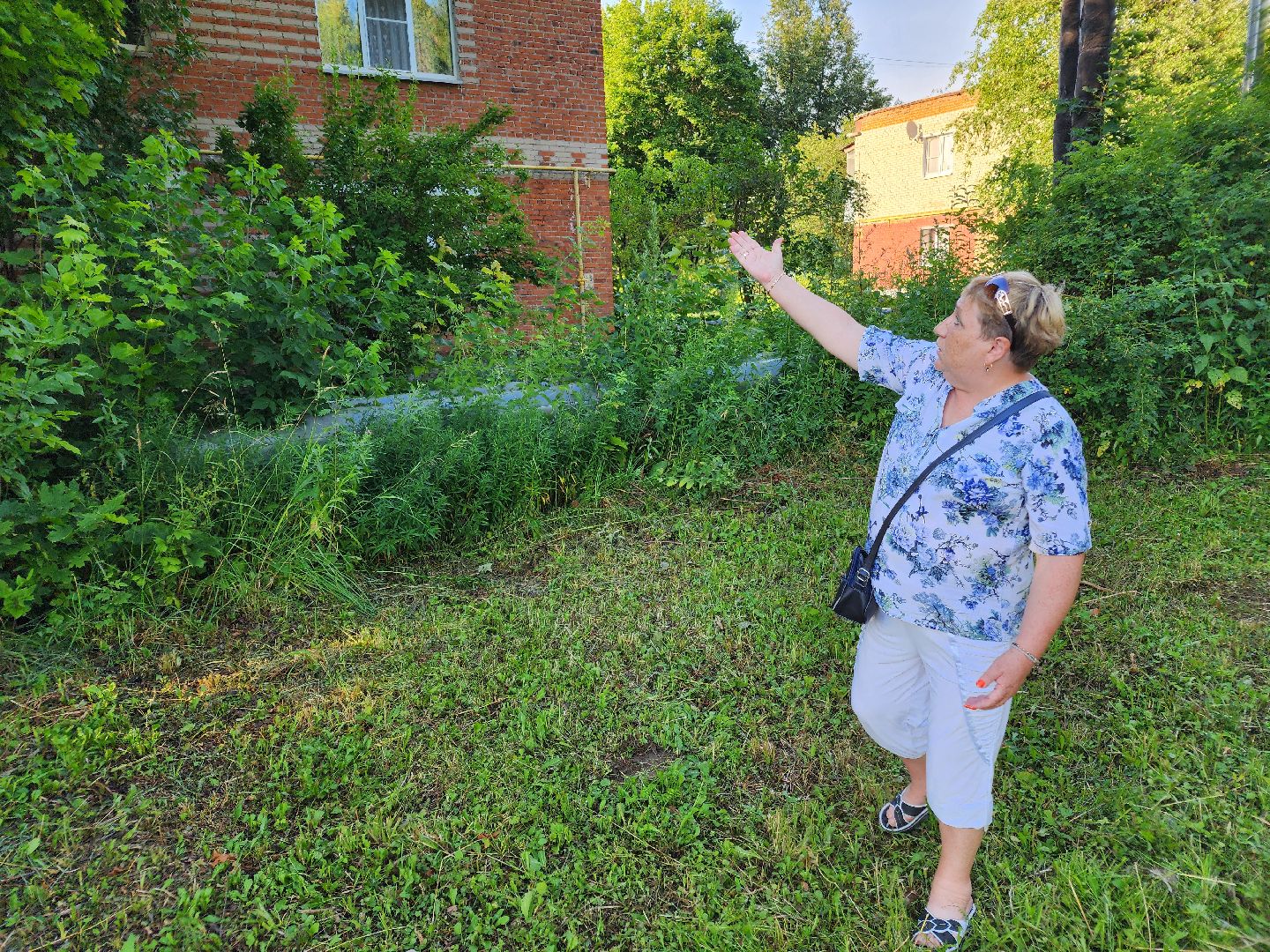 Чехов, Чепелево, выездная администрация, опиловка деревьев, окос травы, капремонт дома,