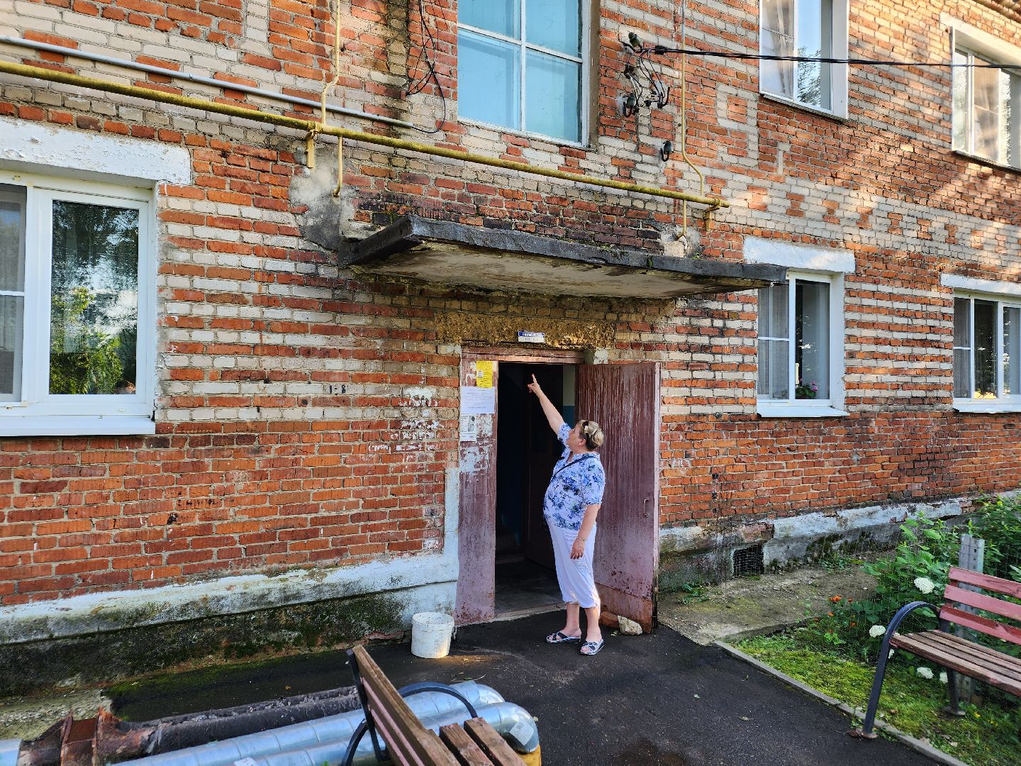 Чехов, Чепелево, выездная администрация, опиловка деревьев, окос травы, капремонт дома,