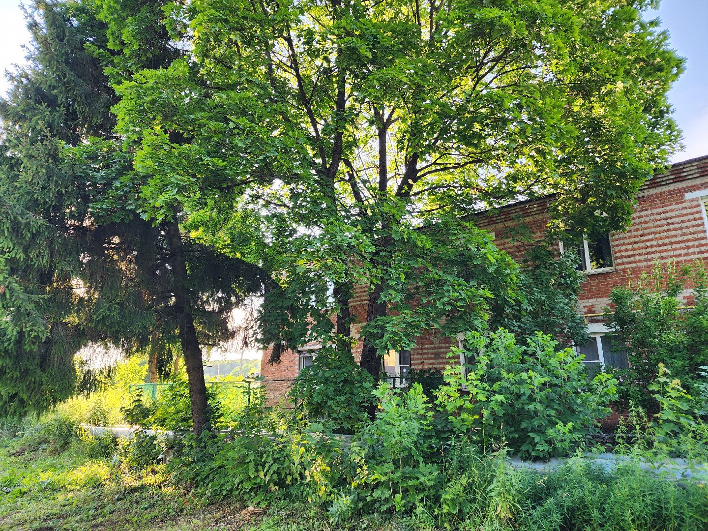 Чехов, Чепелево, выездная администрация, опиловка деревьев, окос травы, капремонт дома,