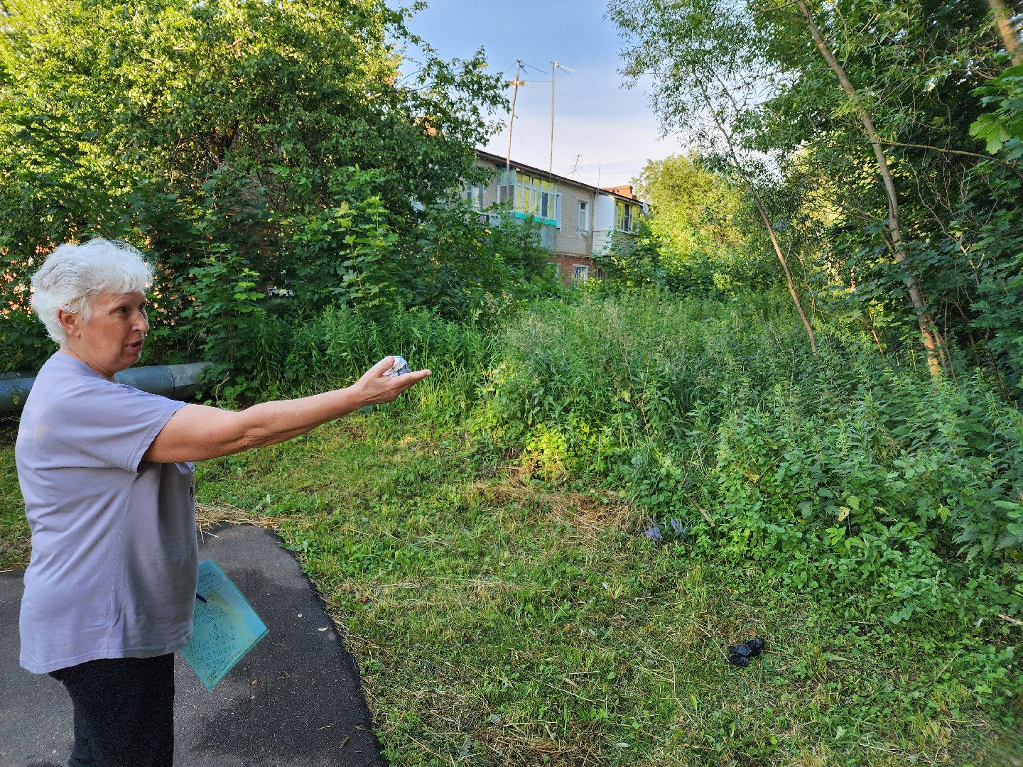 Чехов, Чепелево, выездная администрация, опиловка деревьев, окос травы, капремонт дома,