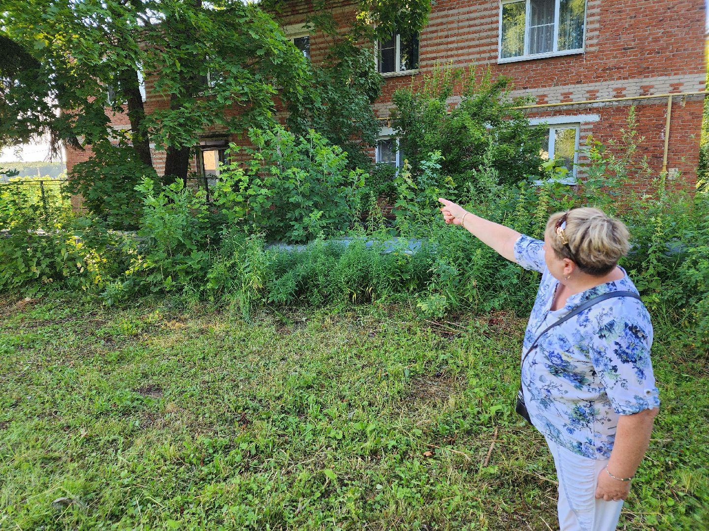 Чехов, Чепелево, выездная администрация, опиловка деревьев, окос травы, капремонт дома,