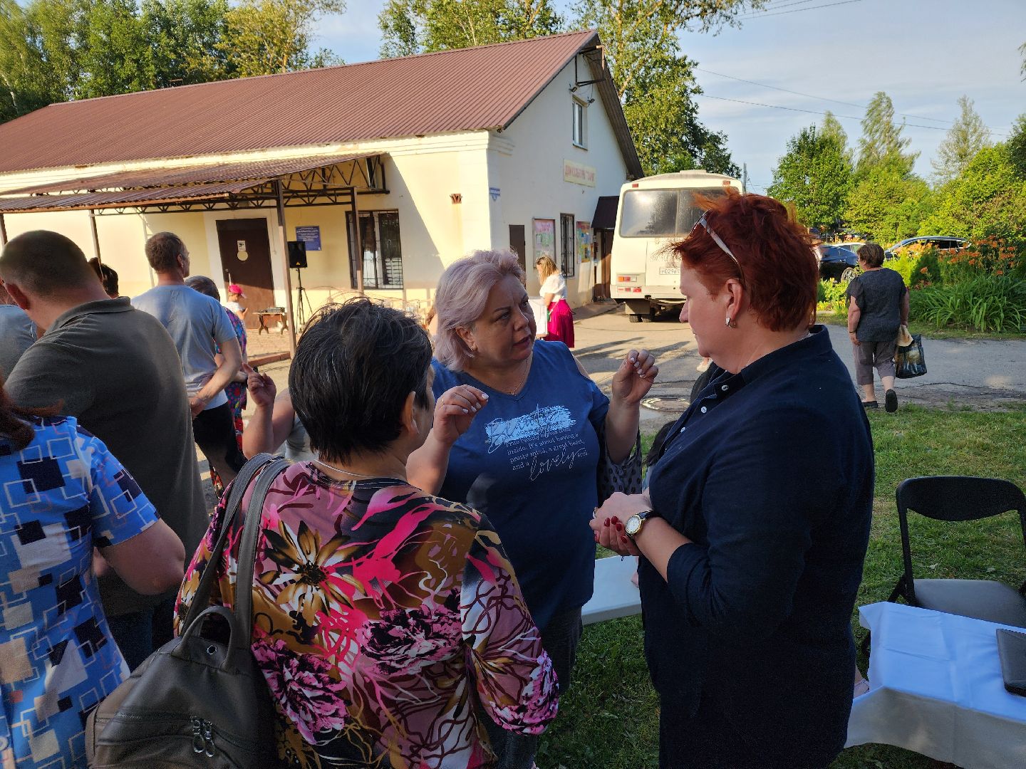 Чехов, Чепелево, выездная администрация, опиловка деревьев, окос травы, капремонт дома,