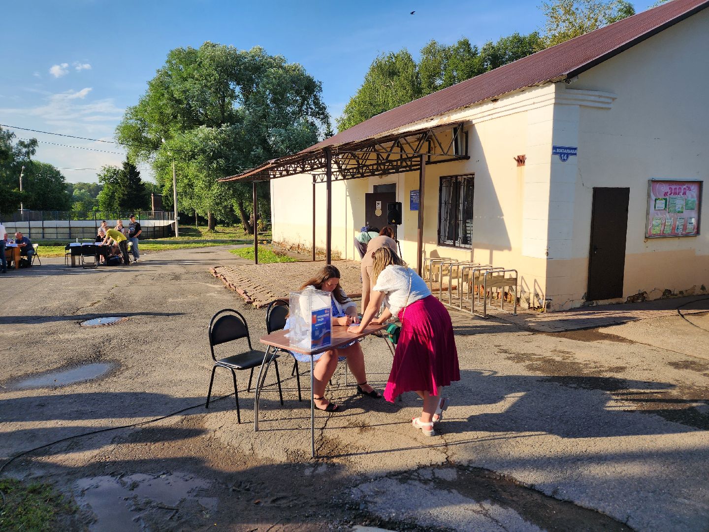Чехов, Чепелево, выездная администрация, опиловка деревьев, окос травы, капремонт дома,