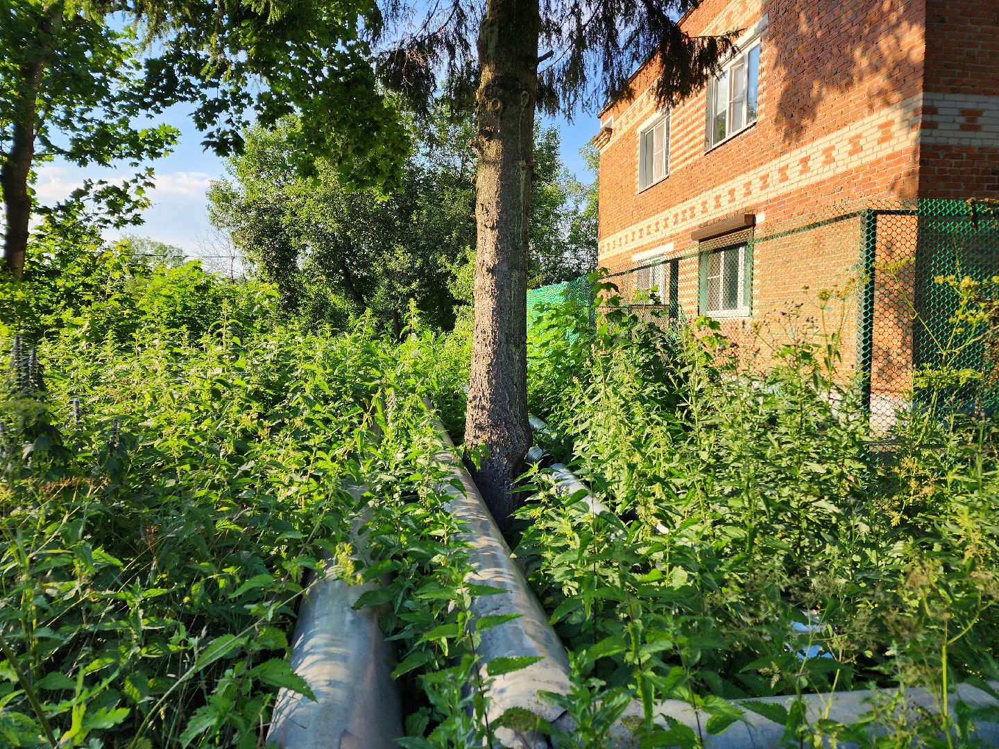 Чехов, Чепелево, выездная администрация, опиловка деревьев, окос травы, капремонт дома,