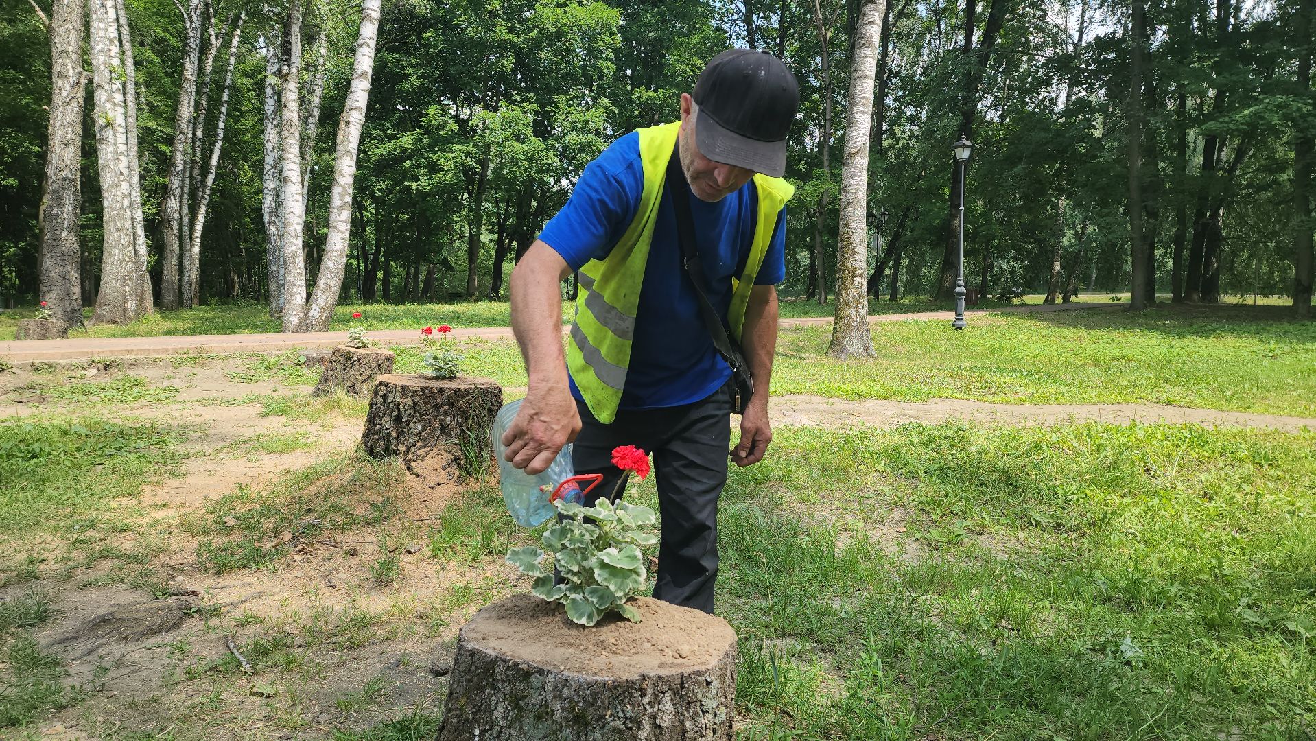 красногорск, благоуйстройство, парки красногорска, клумбы,