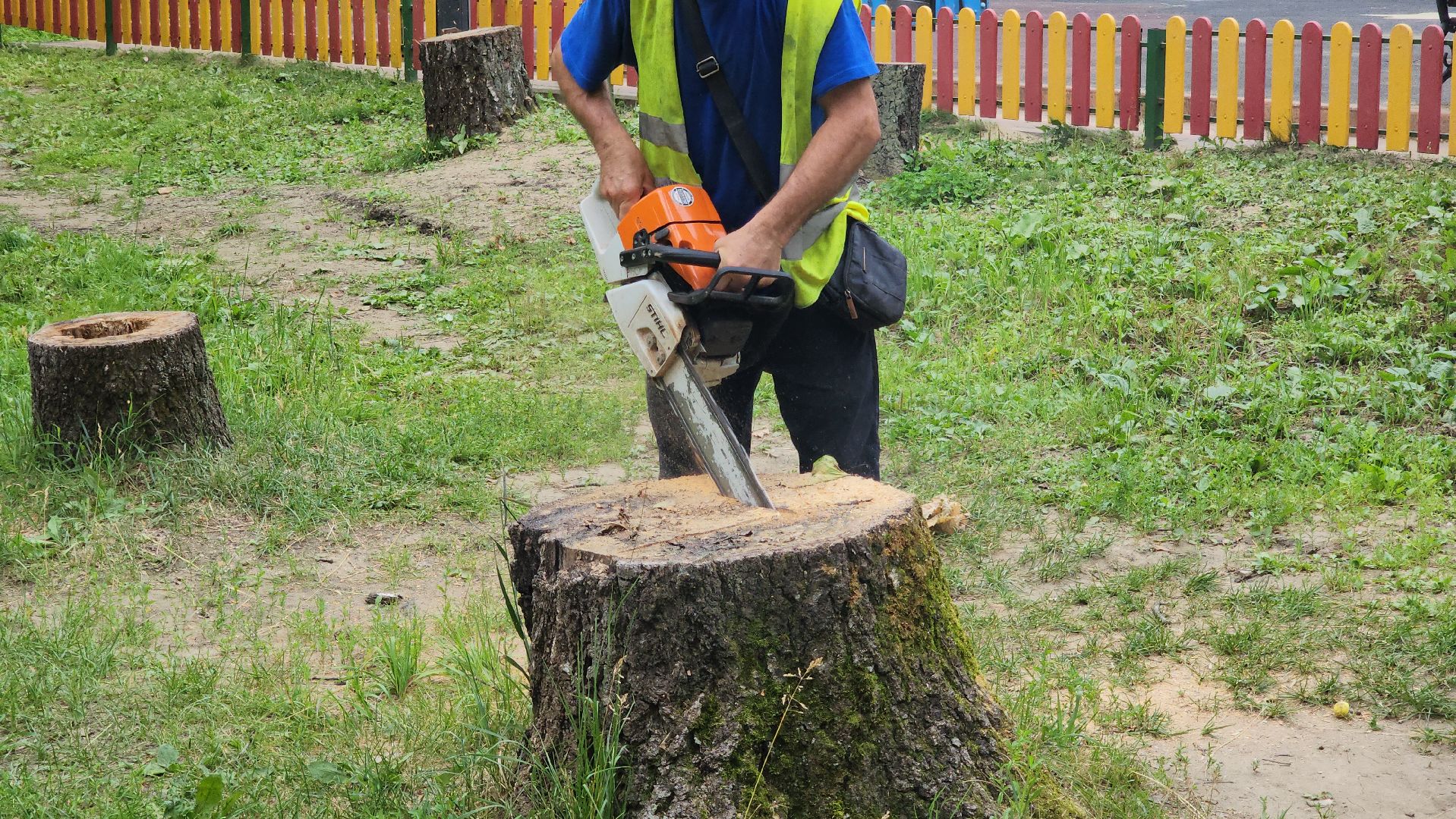 красногорск, благоуйстройство, парки красногорска, клумбы,