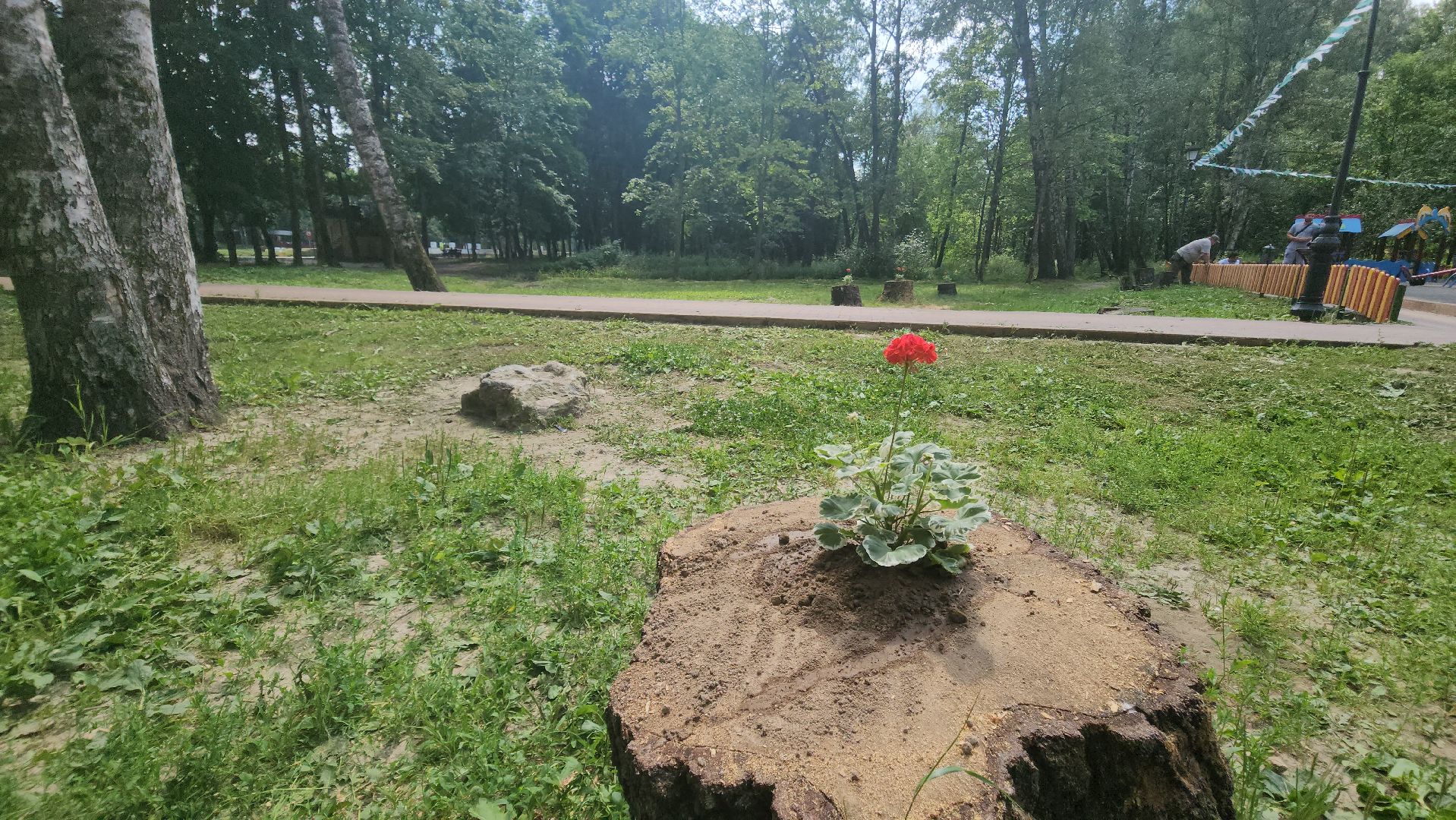 красногорск, благоуйстройство, парки красногорска, клумбы,