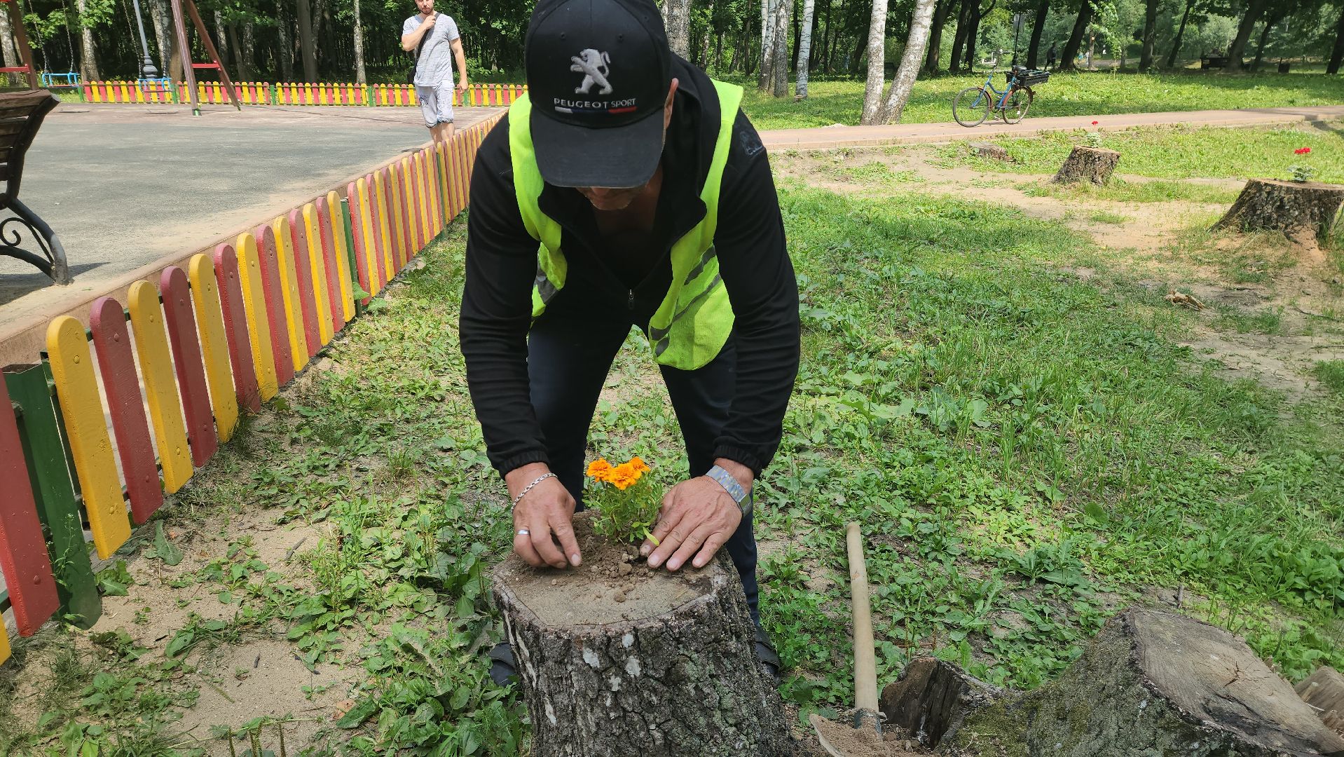красногорск, благоуйстройство, парки красногорска, клумбы,