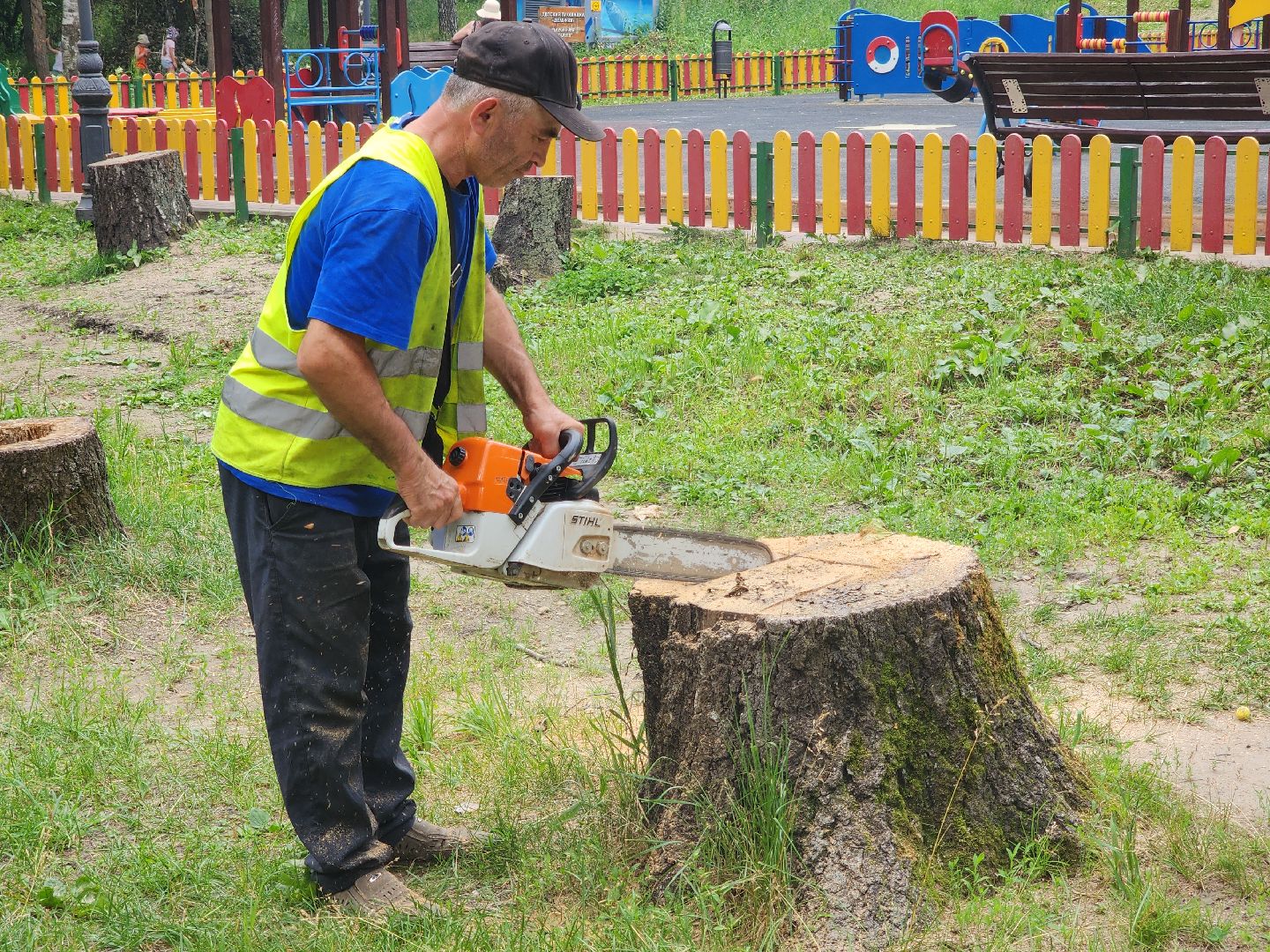 красногорск, благоуйстройство, парки красногорска, клумбы,