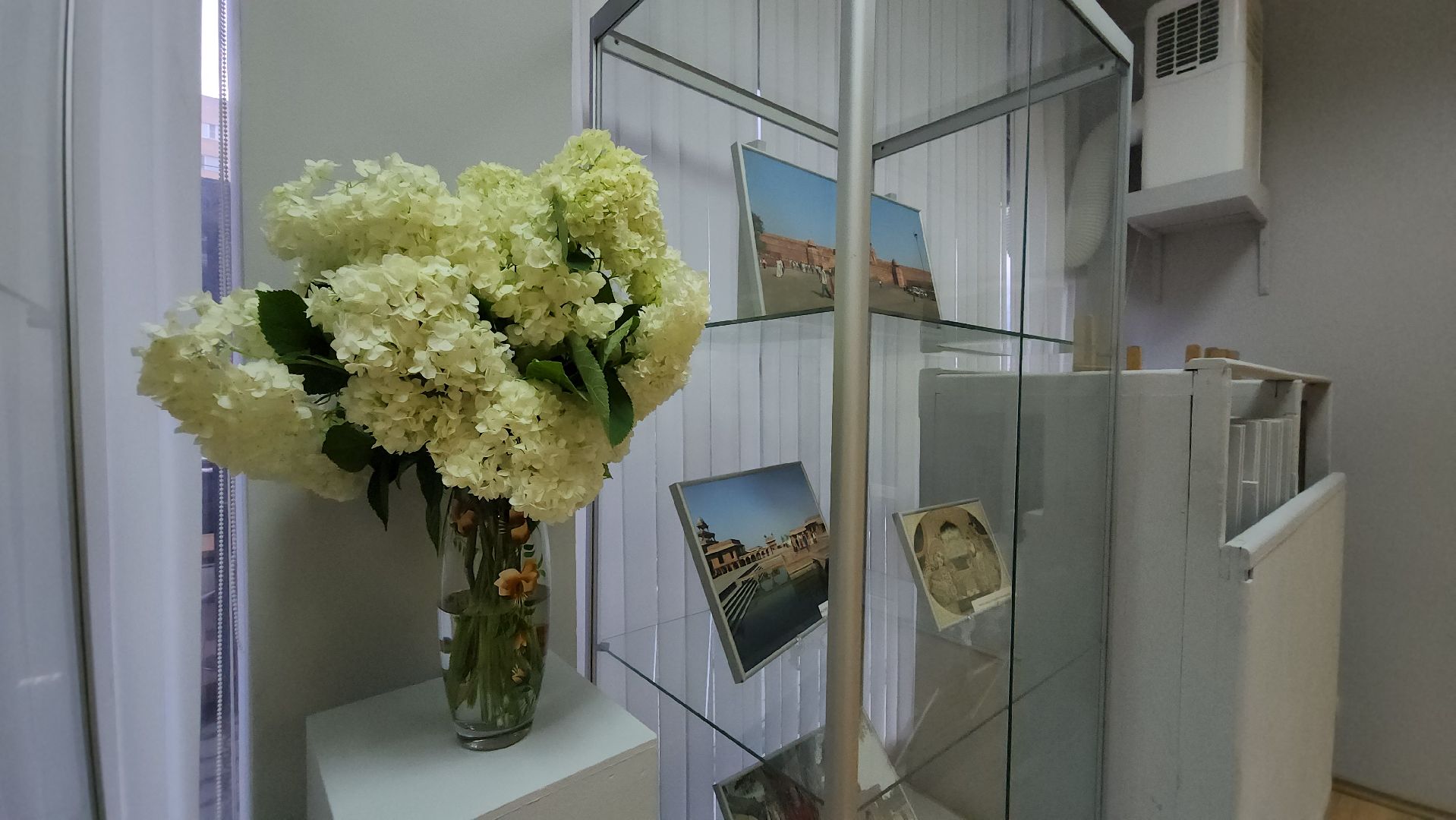 Индия, Выставка, Лобня, фотографии,