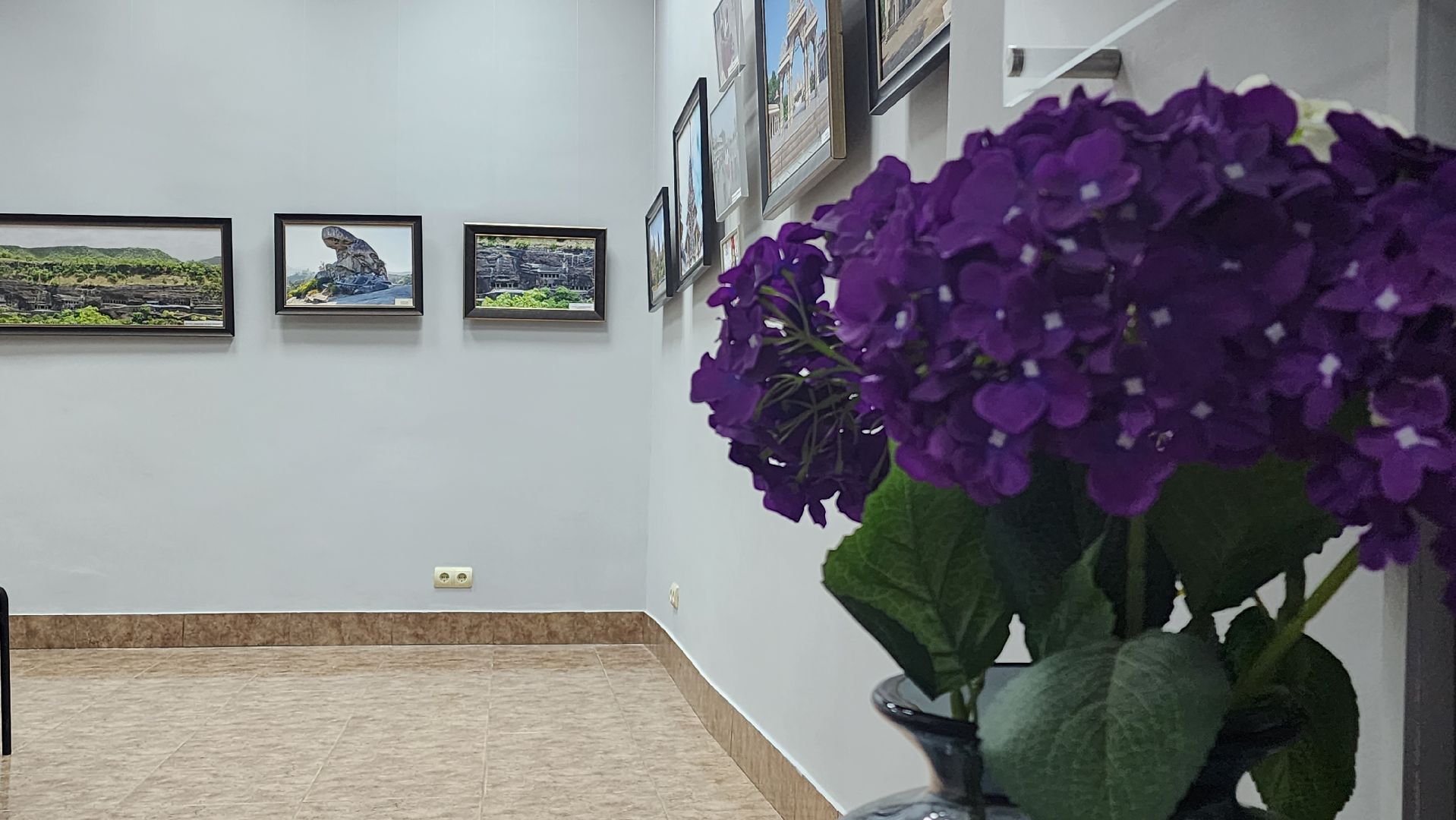 Индия, Выставка, Лобня, фотографии,