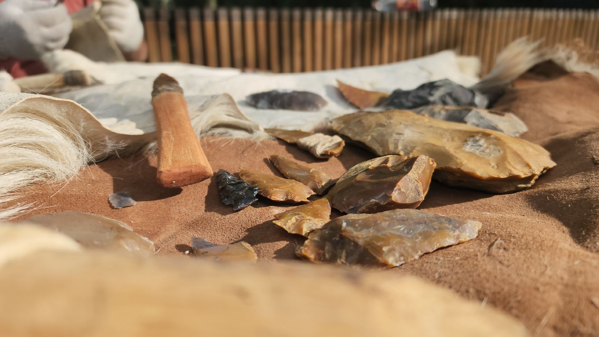 ступино, лето в подмосковье, археошкола,