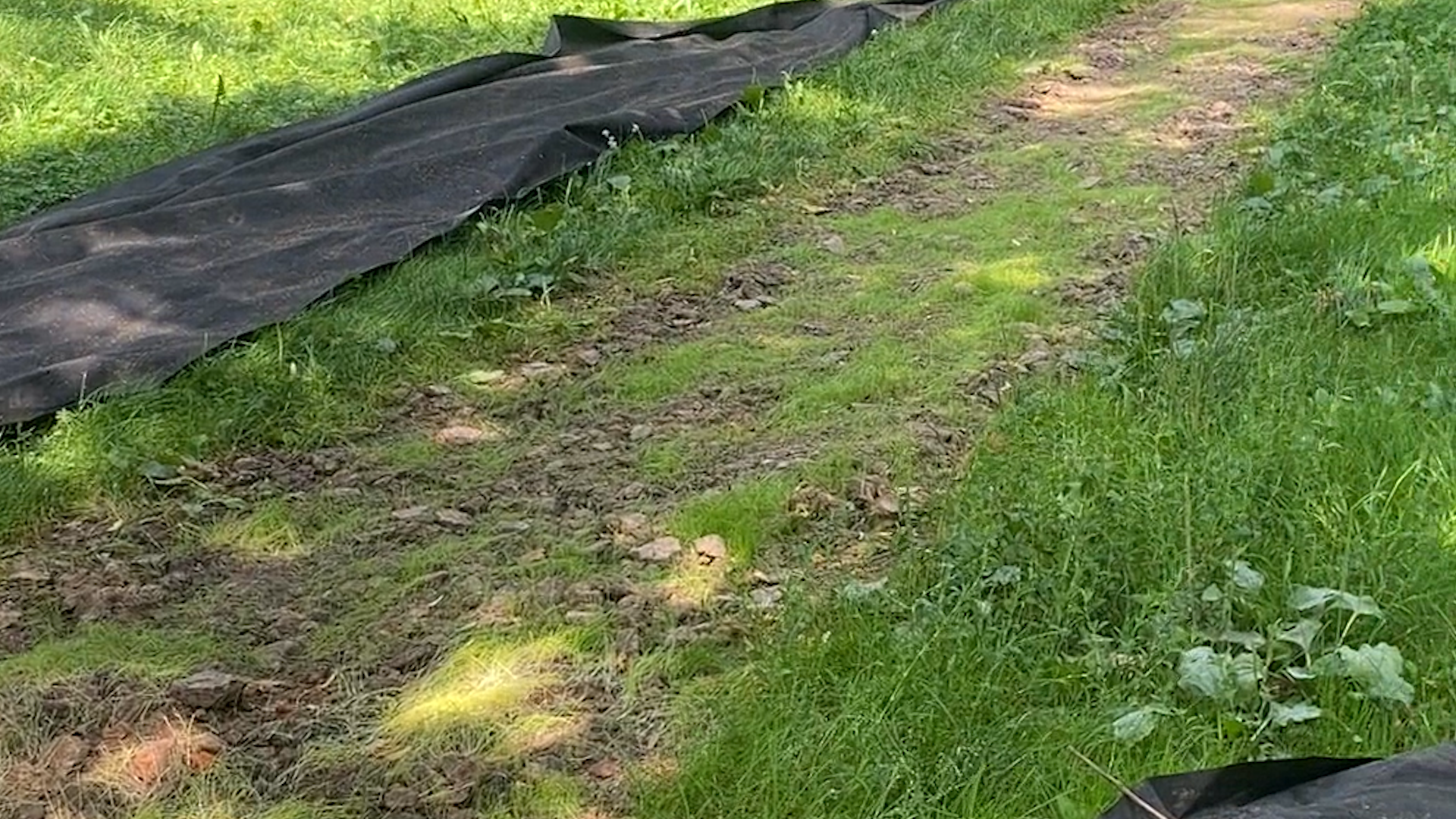 благоустройство территории, народная тропа, власиха благоустройство, парковая зона Власиха, МБК ЖКХ и благоустройство,