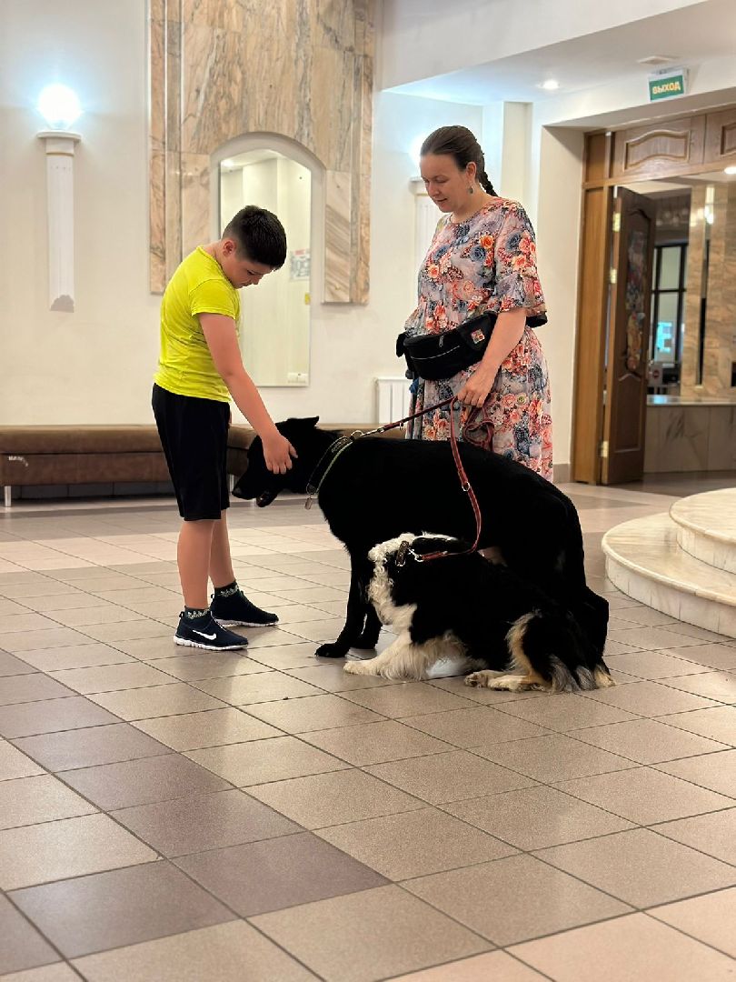 долгопрудный, кинологи, дк вперед, x-легион, фронтовая собака, короткометражный фильм,