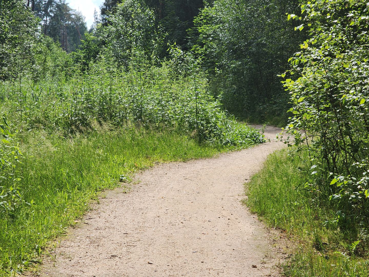 Черноголовка, Теплотрасса, Благоустройство, жкх,
