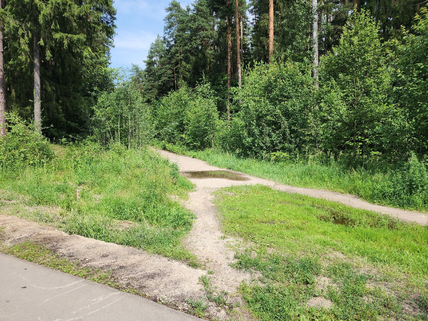 Черноголовка, Теплотрасса, Благоустройство, жкх,