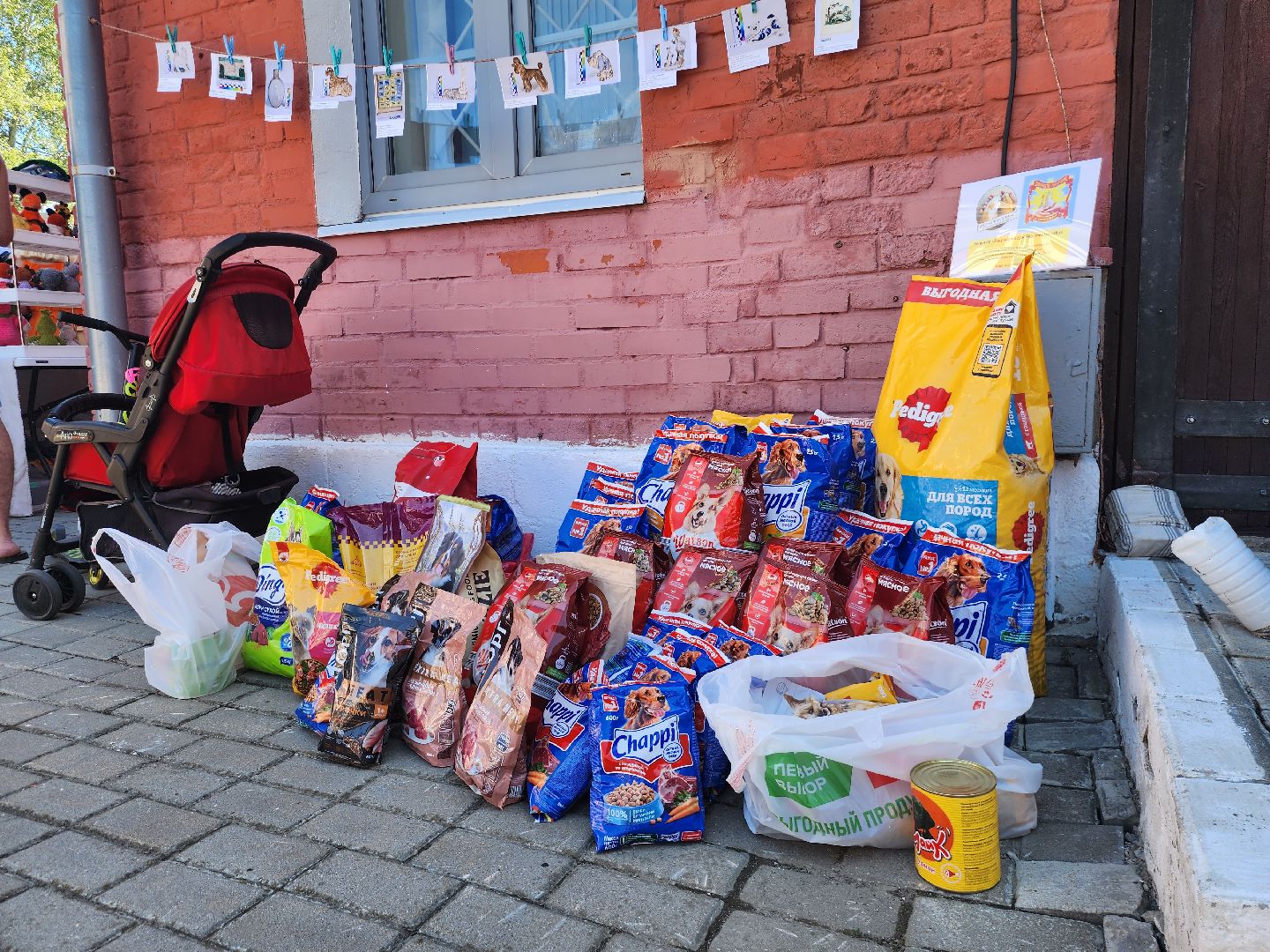 Коломна, день семьи любви и верности, семейный праздник, помощь бездомным животным,