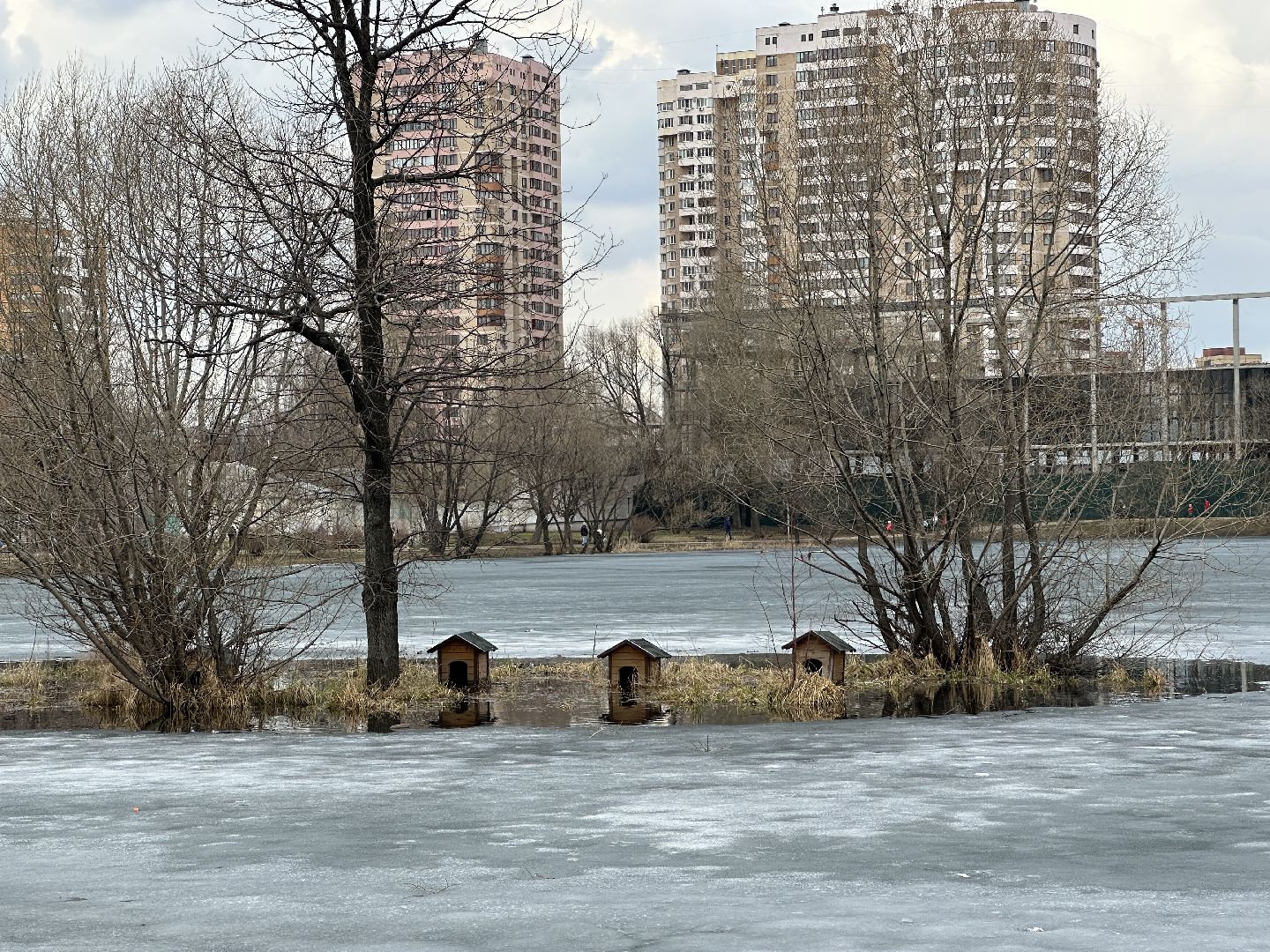 Реутов, благоустройство, огари