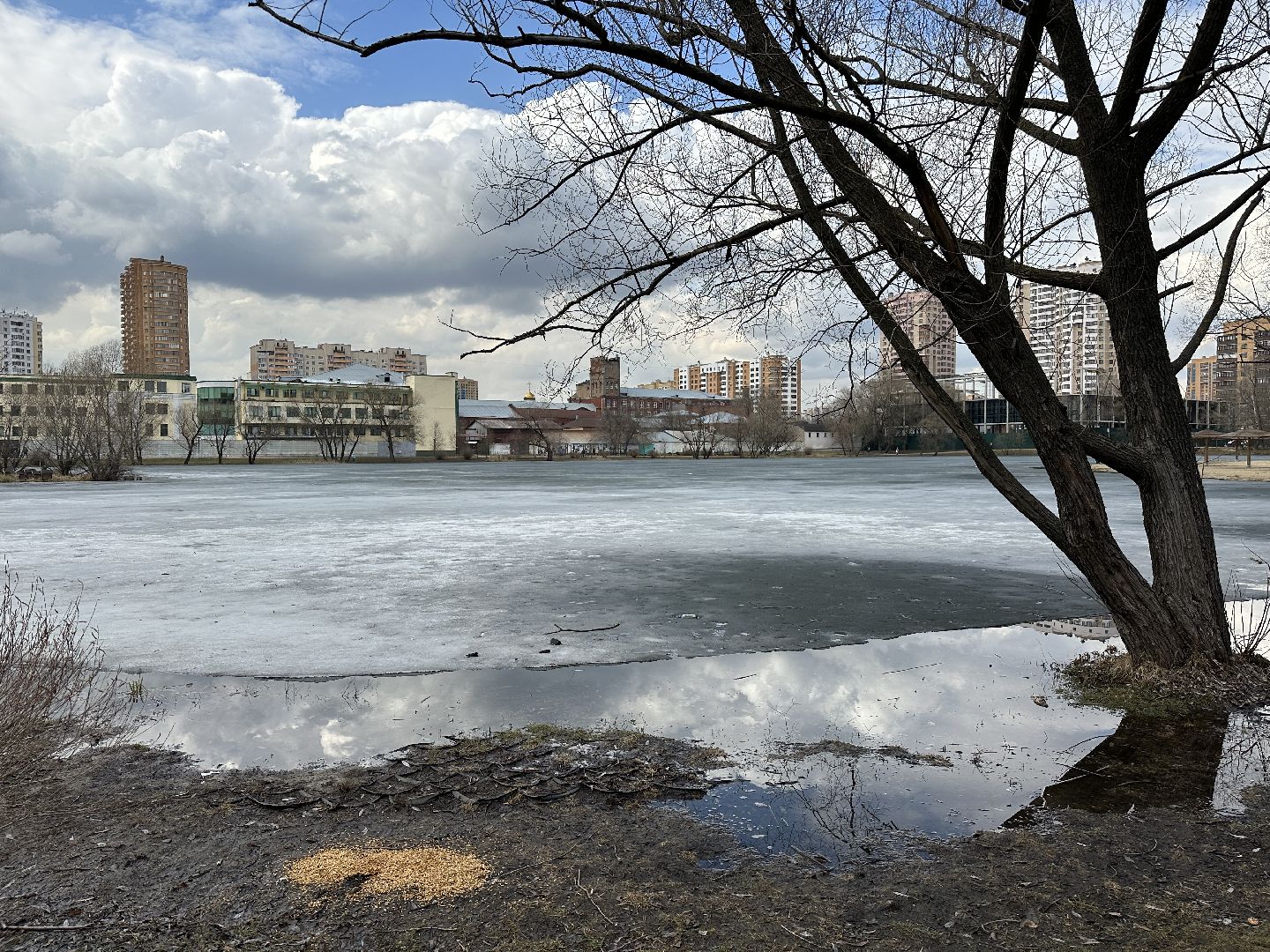 Реутов, благоустройство, огари