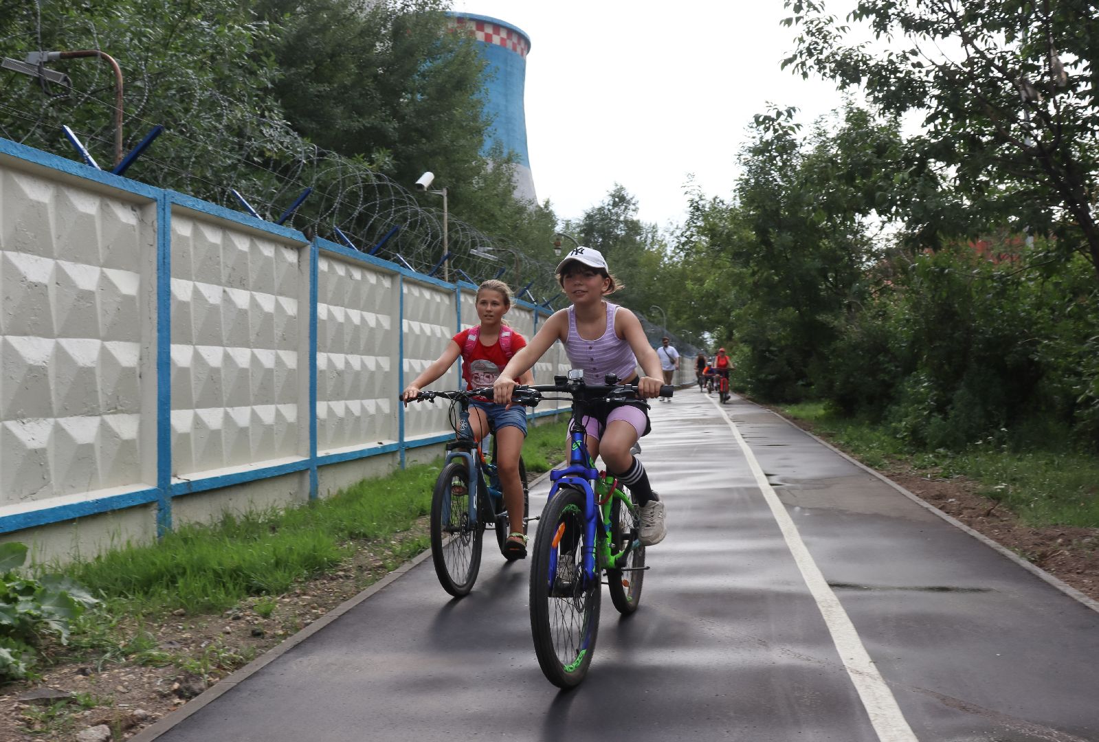 Евгений Лазурин, андроник пак, велодорожка, улица Энергетиков, дзержинский, воробьёв, обращение к президенту,