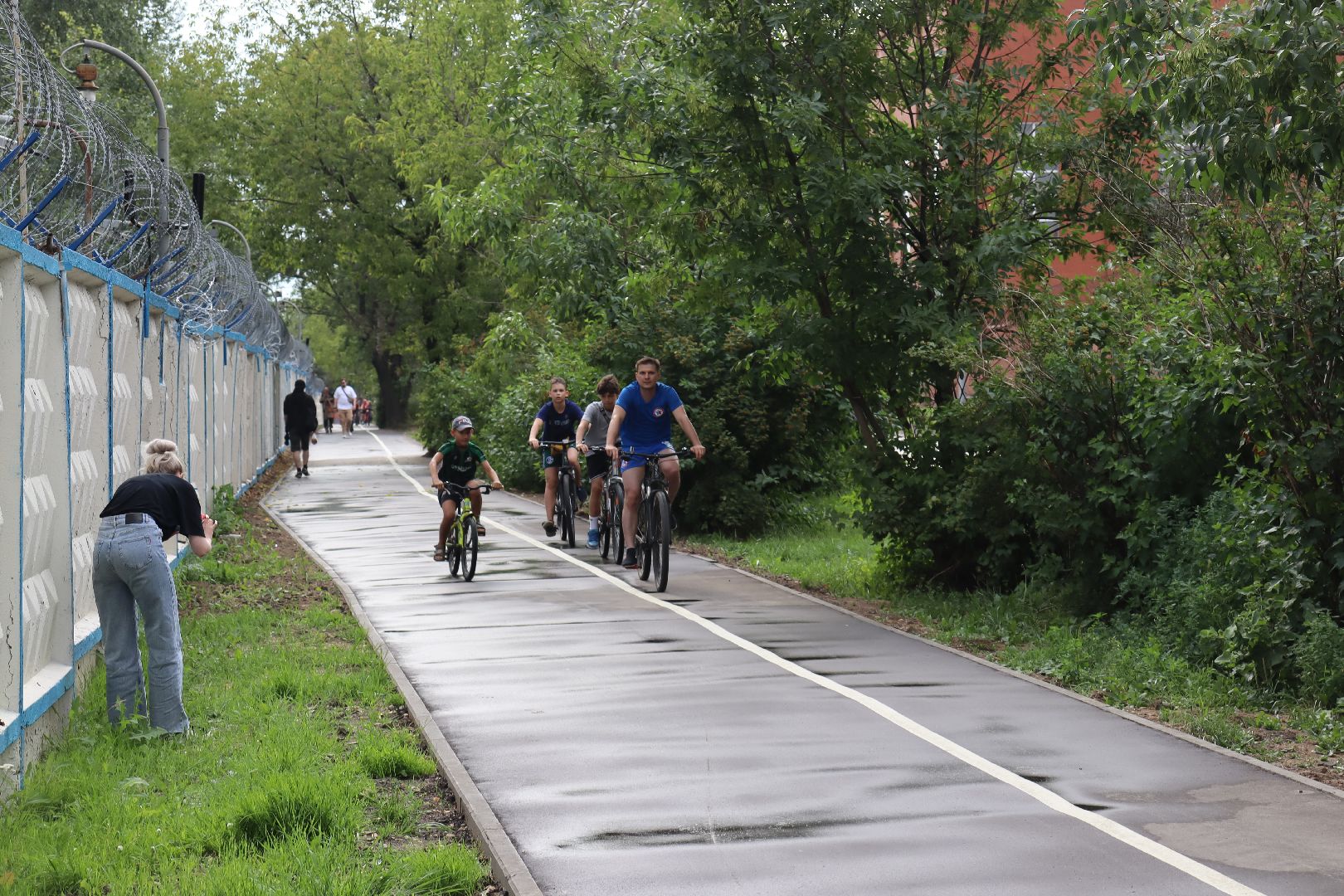 Евгений Лазурин, андроник пак, велодорожка, улица Энергетиков, дзержинский, воробьёв, обращение к президенту,