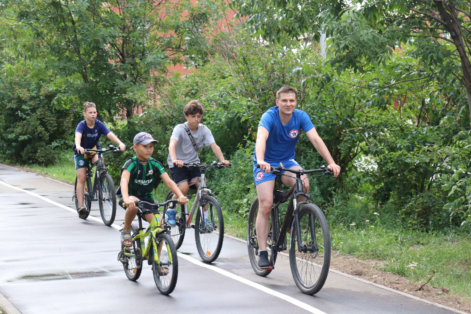 Евгений Лазурин, андроник пак, велодорожка, улица Энергетиков, дзержинский, воробьёв, обращение к президенту,