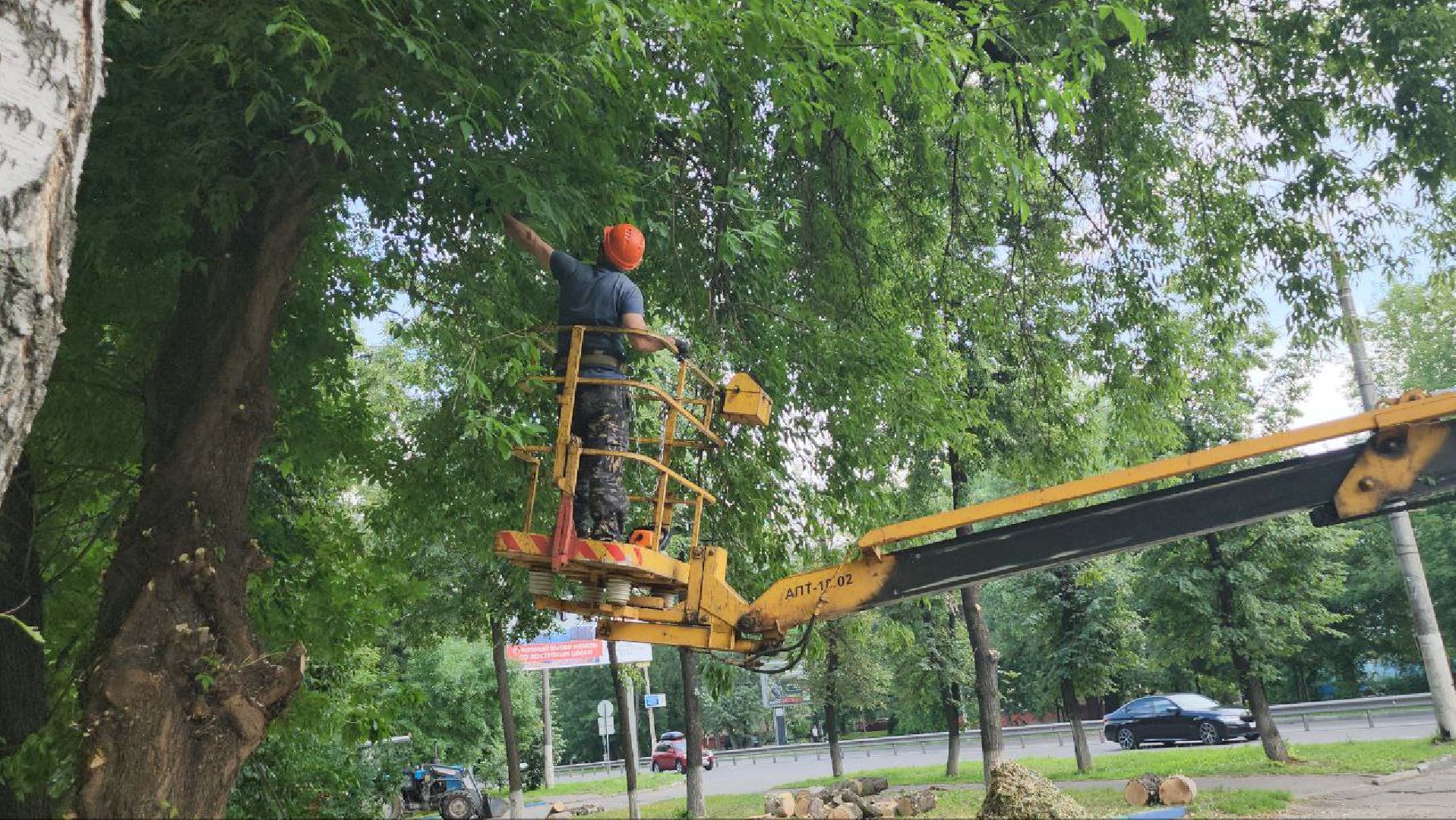 Люберцы, опиловка деревьев, обрезка деревьев,
