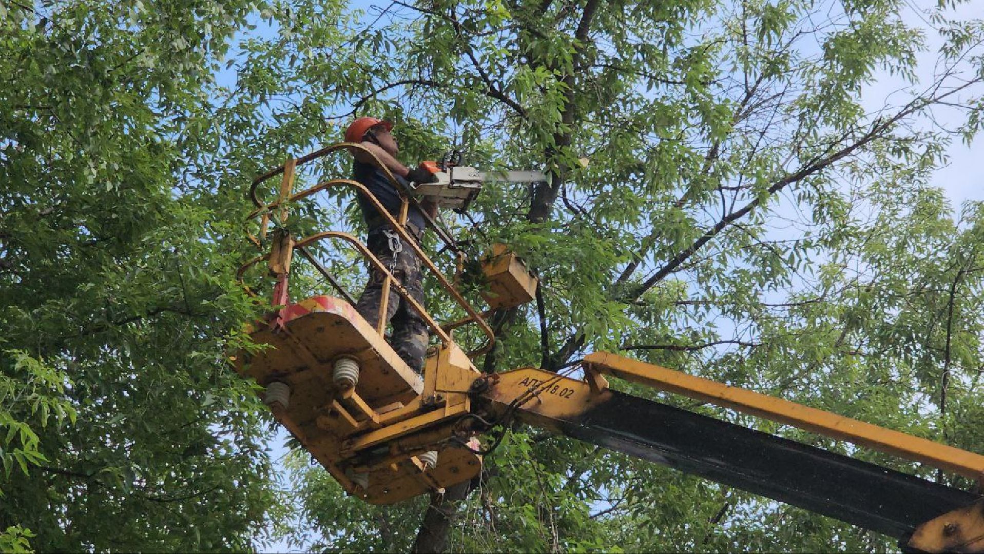 Люберцы, опиловка деревьев, обрезка деревьев,