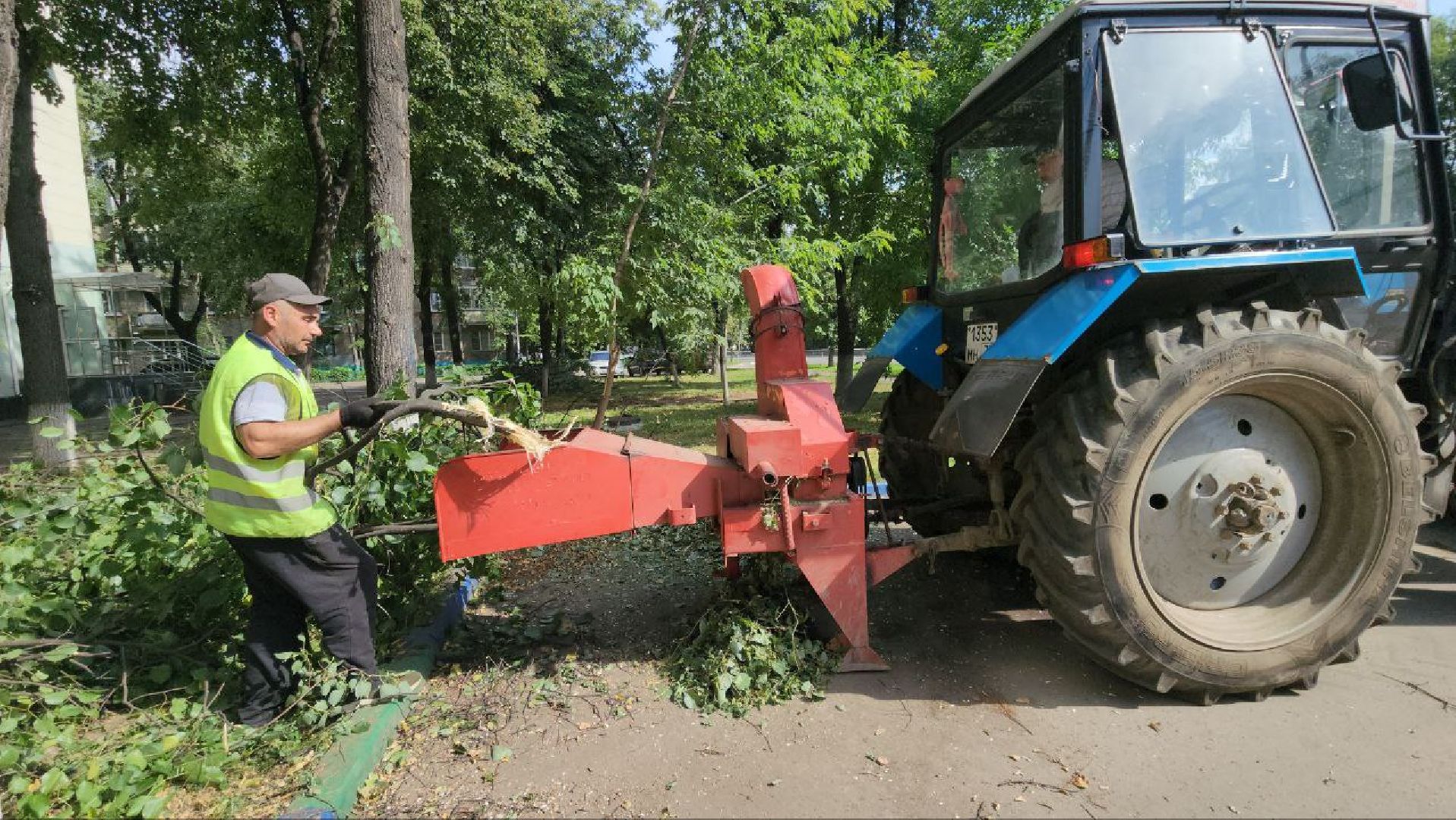 Люберцы, опиловка деревьев, обрезка деревьев,