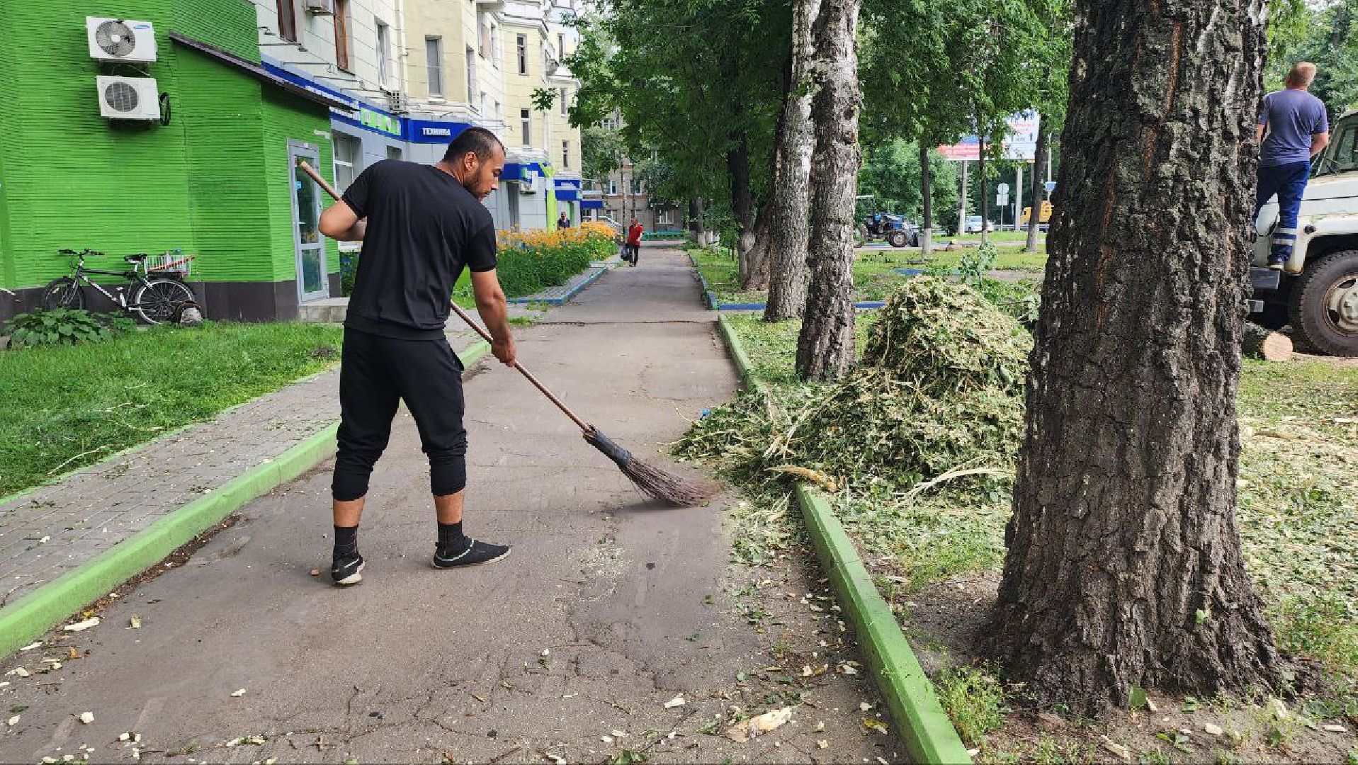 Люберцы, опиловка деревьев, обрезка деревьев,