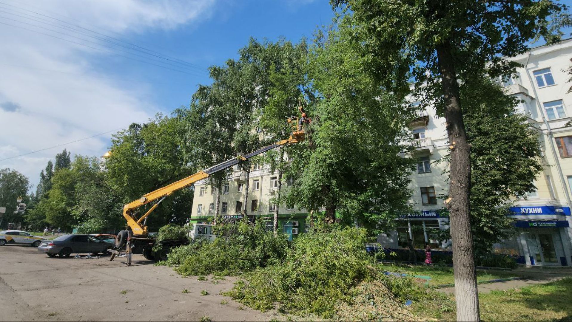 Люберцы, опиловка деревьев, обрезка деревьев,